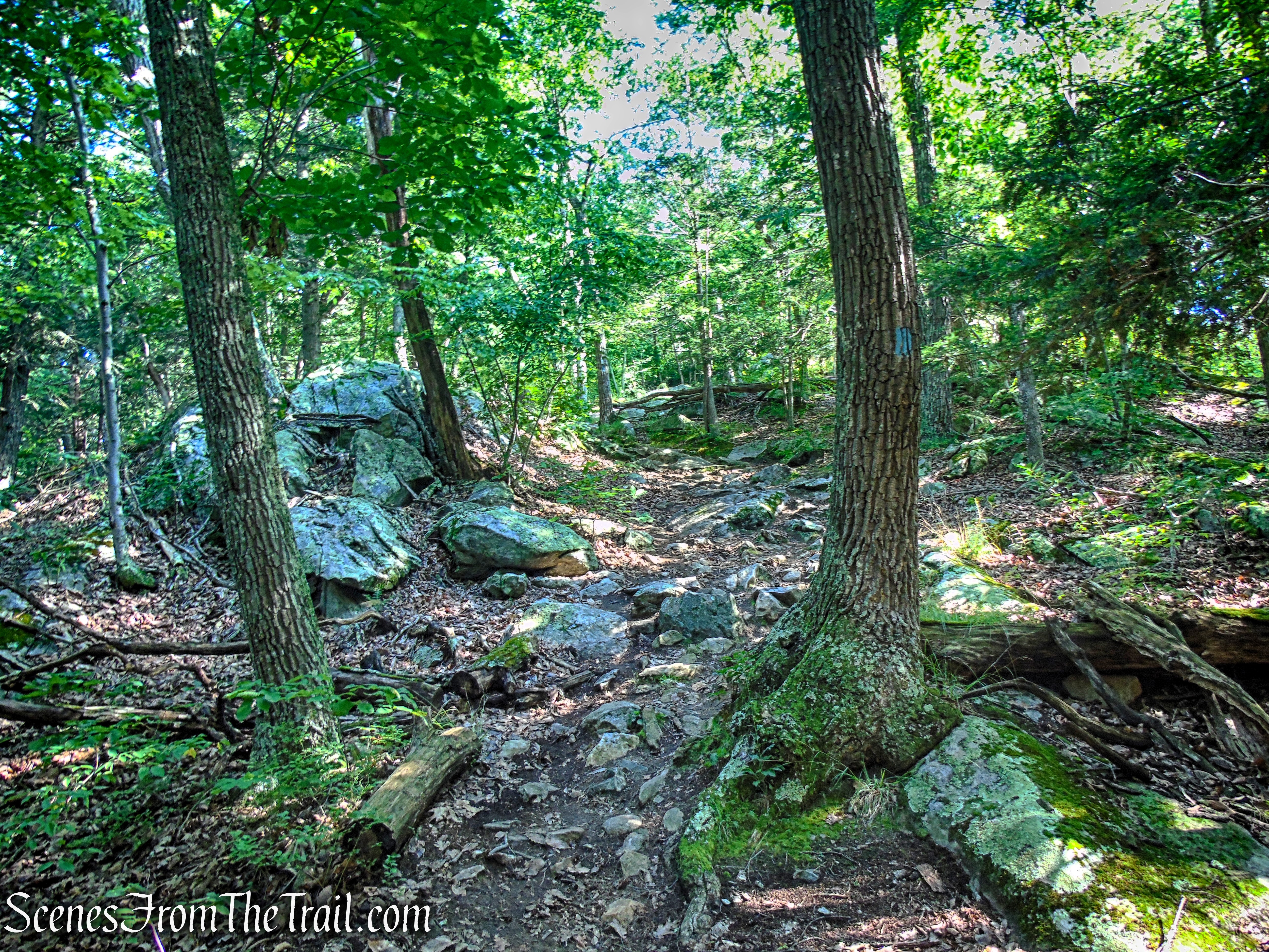 Numeral Rock Trail