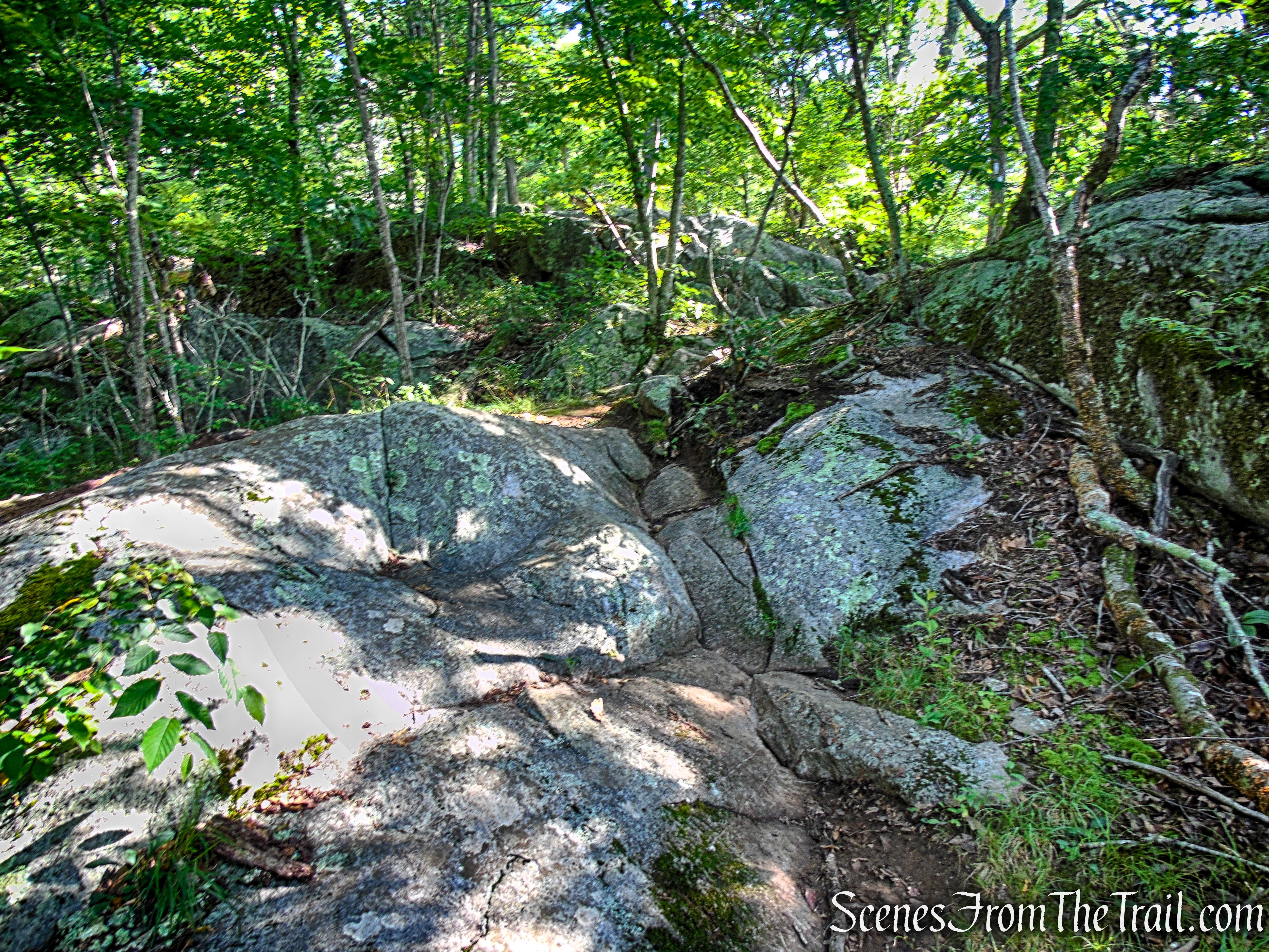 Numeral Rock Trail