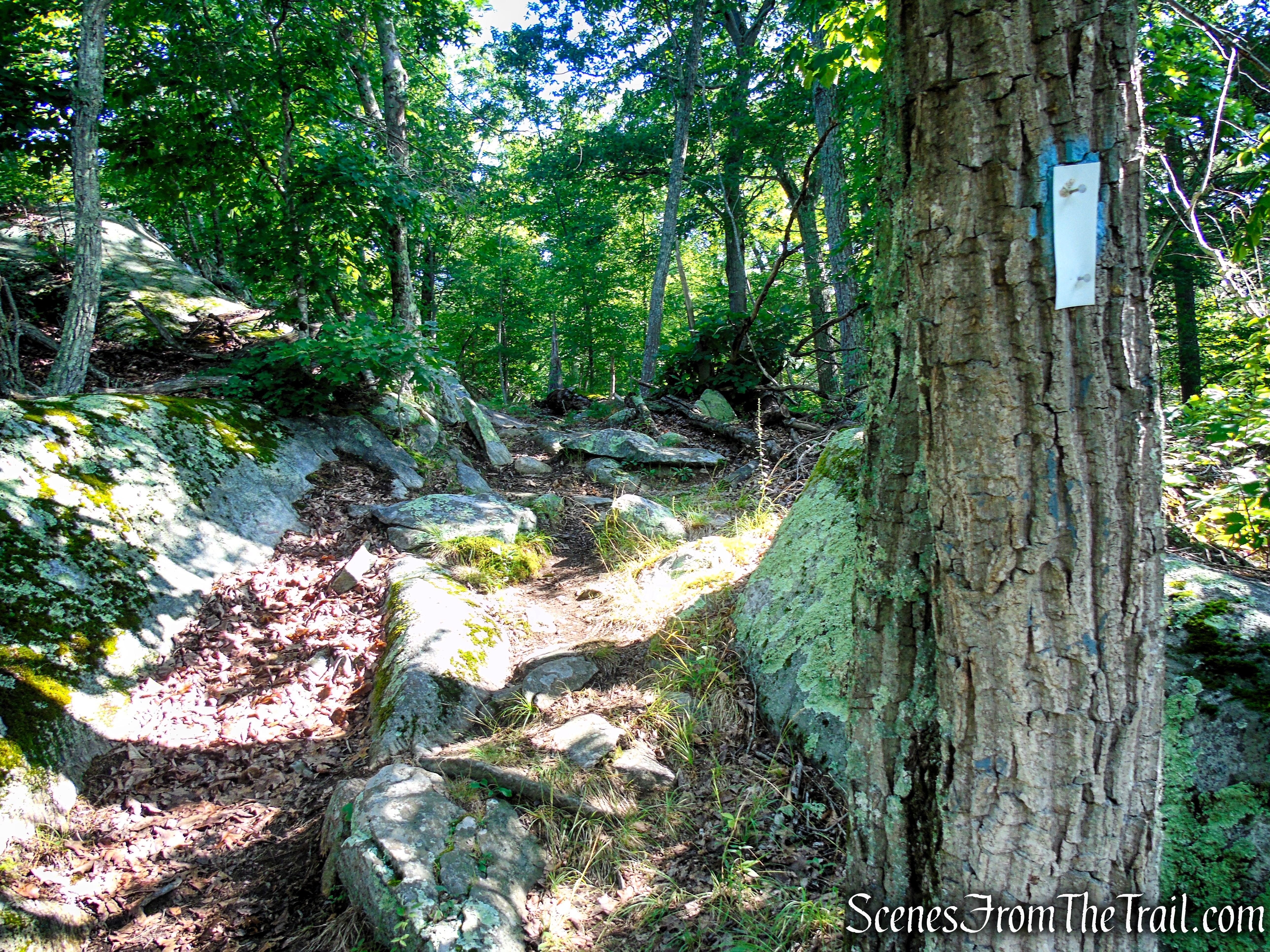 Numeral Rock Trail