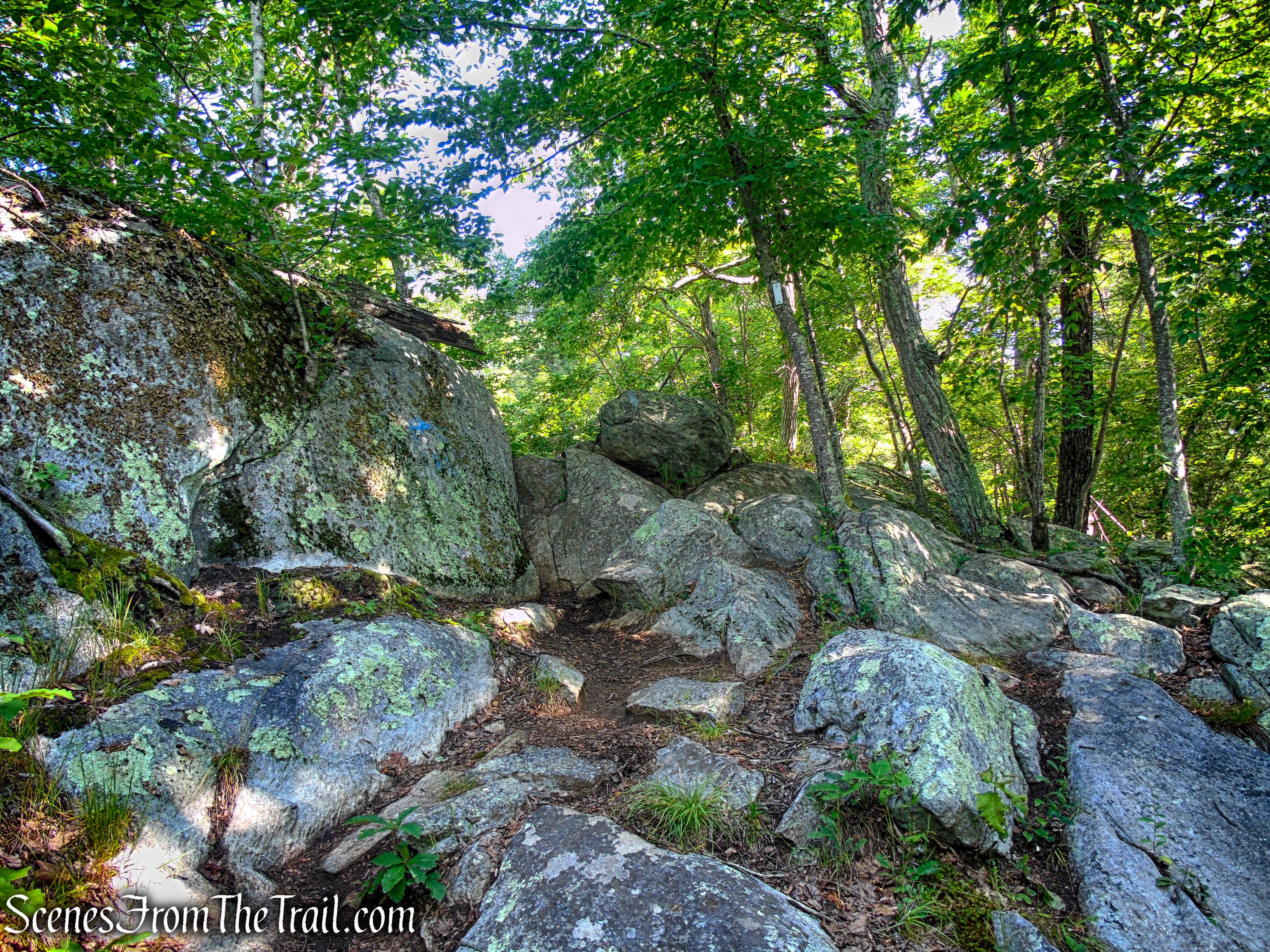 Numeral Rock Trail