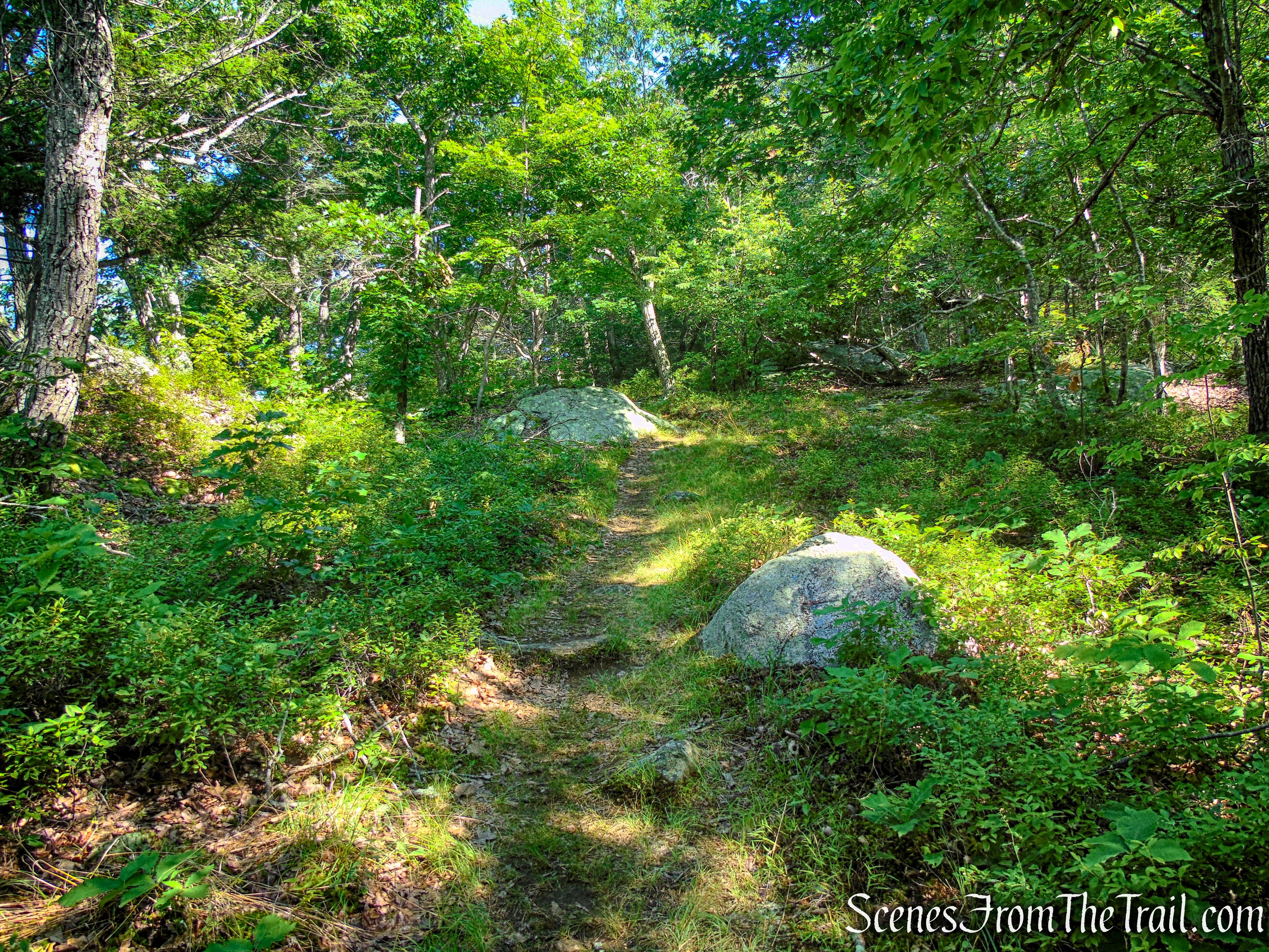 Numeral Rock Trail