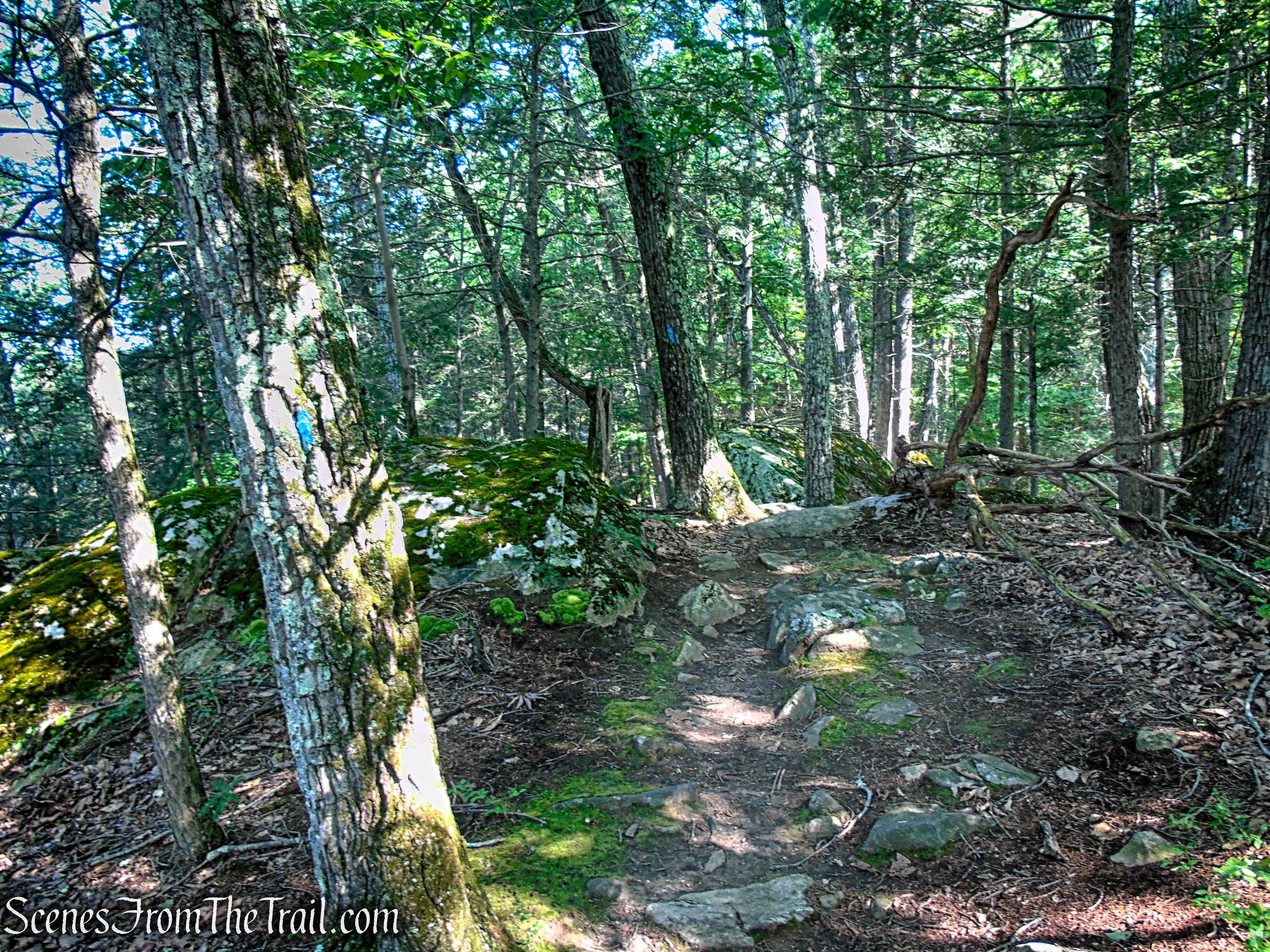 Numeral Rock Trail