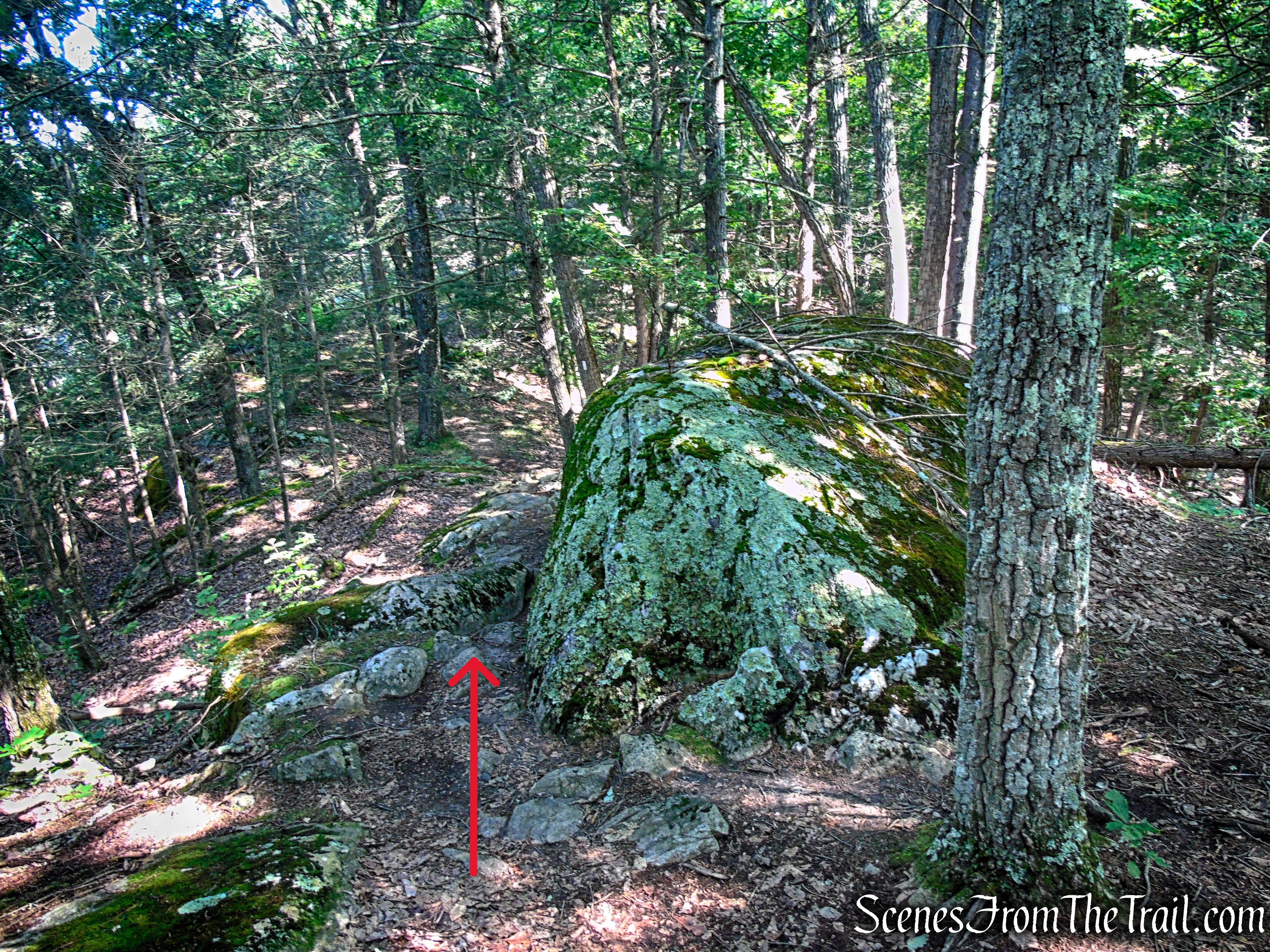 Numeral Rock Trail