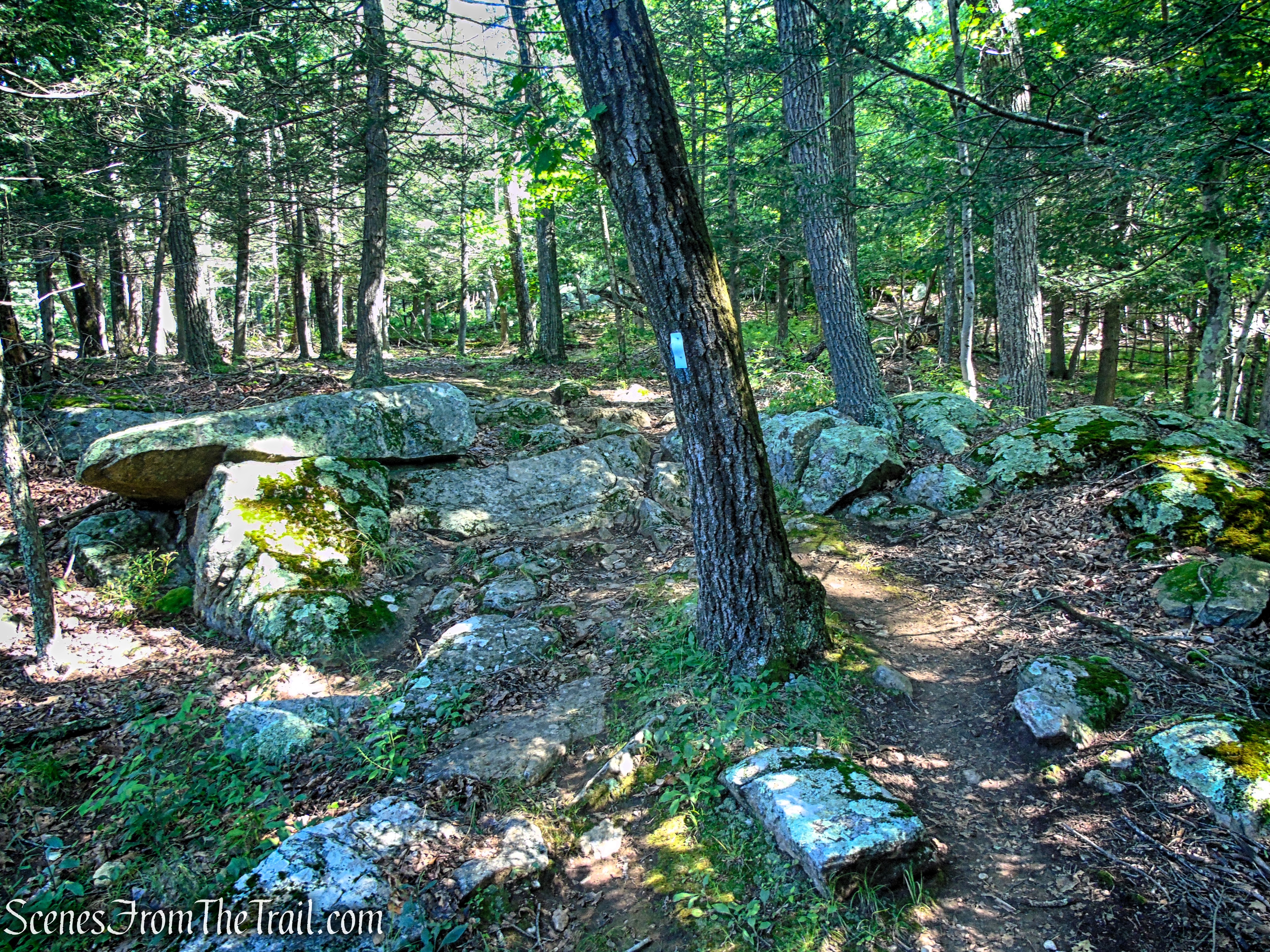 Numeral Rock Trail