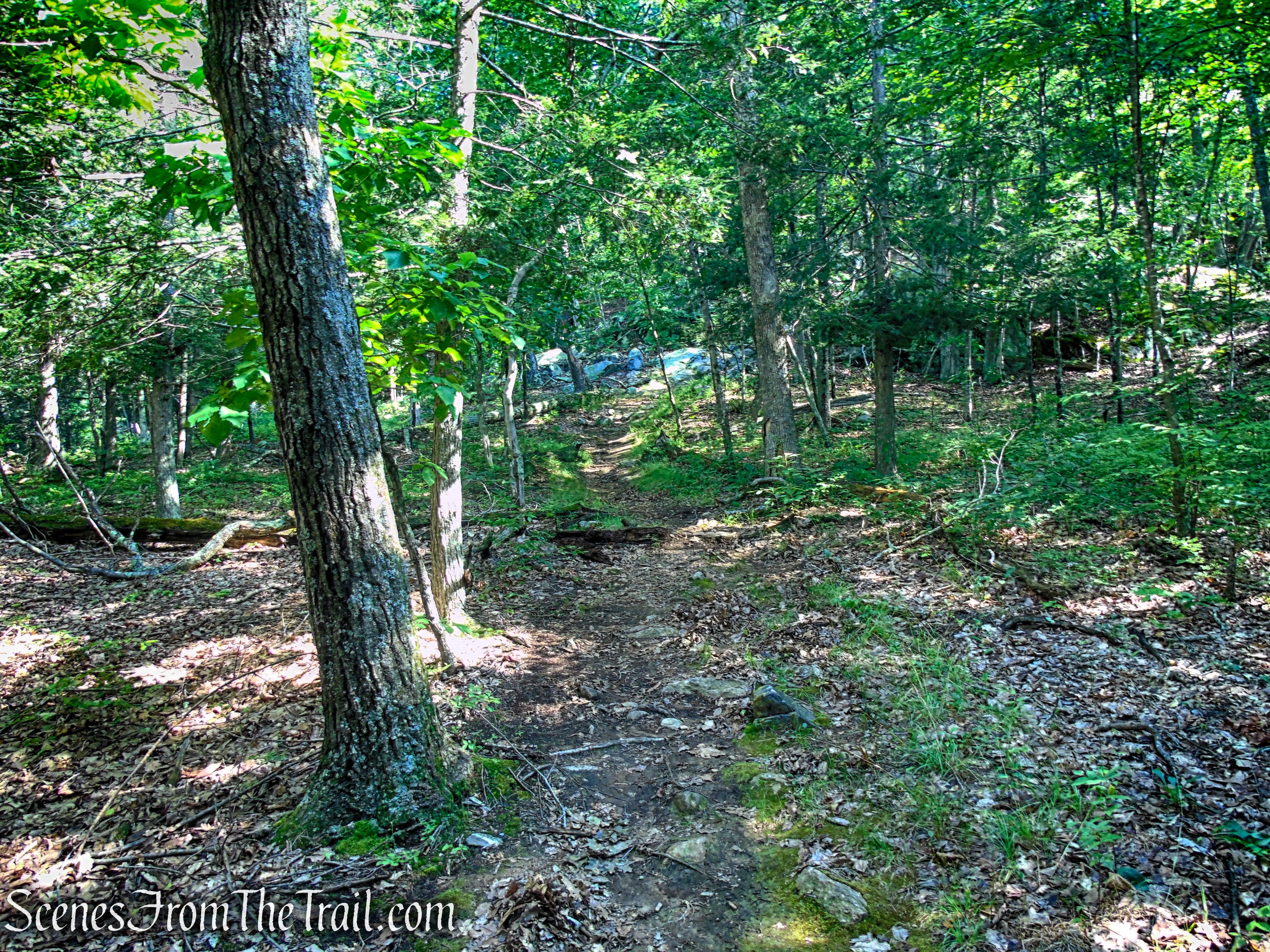 Numeral Rock Trail