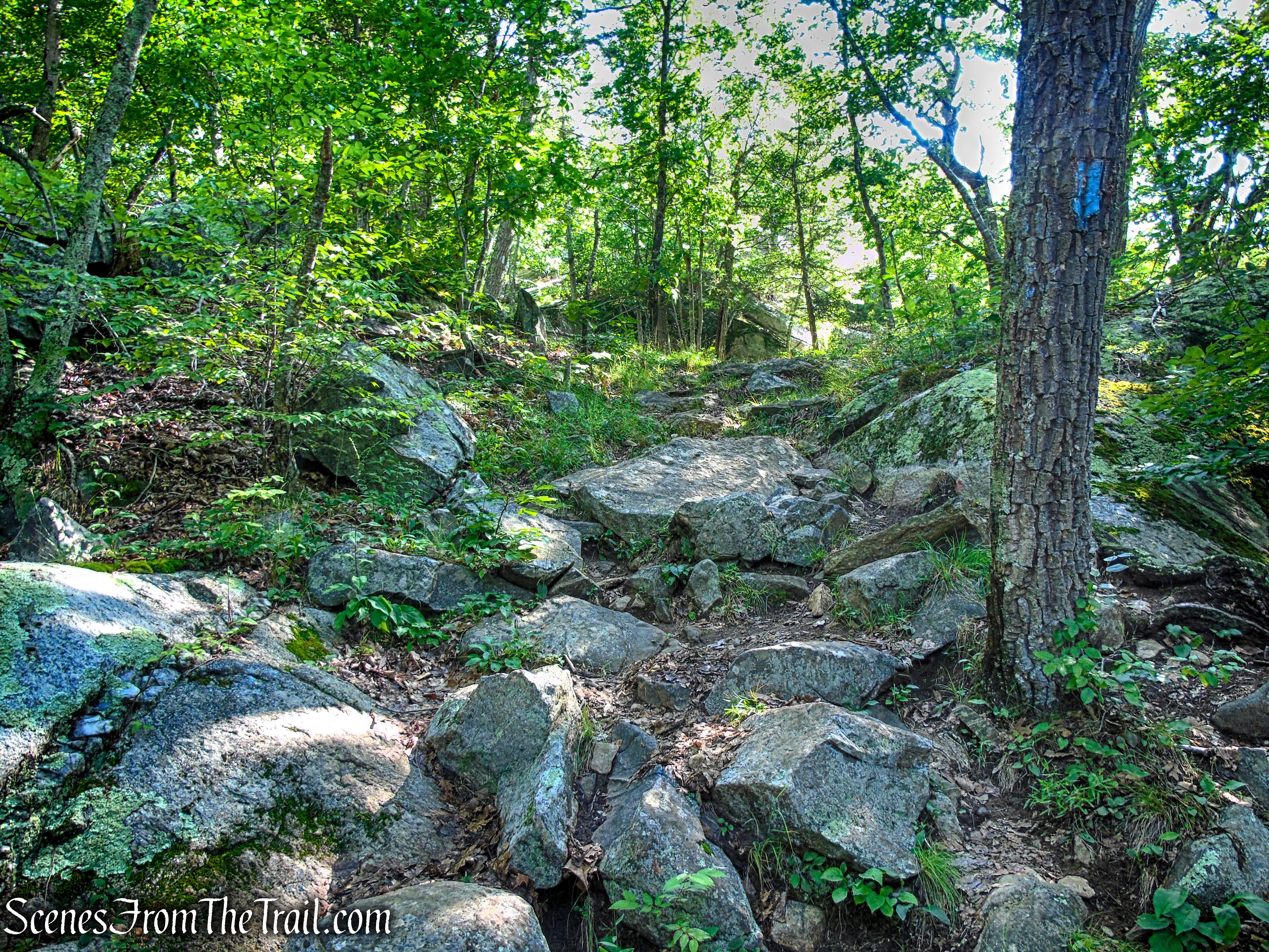 Numeral Rock Trail