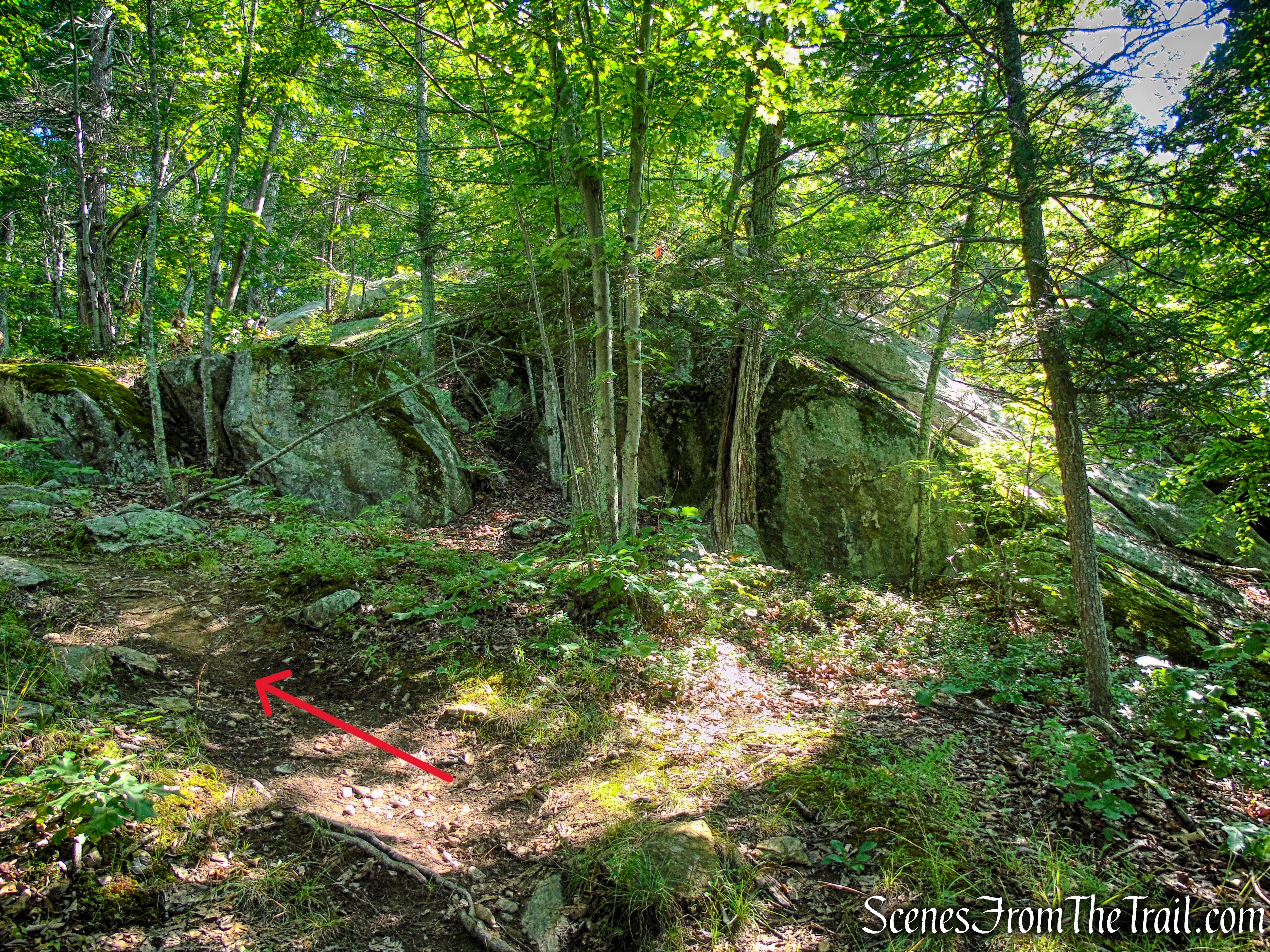 Numeral Rock Trail