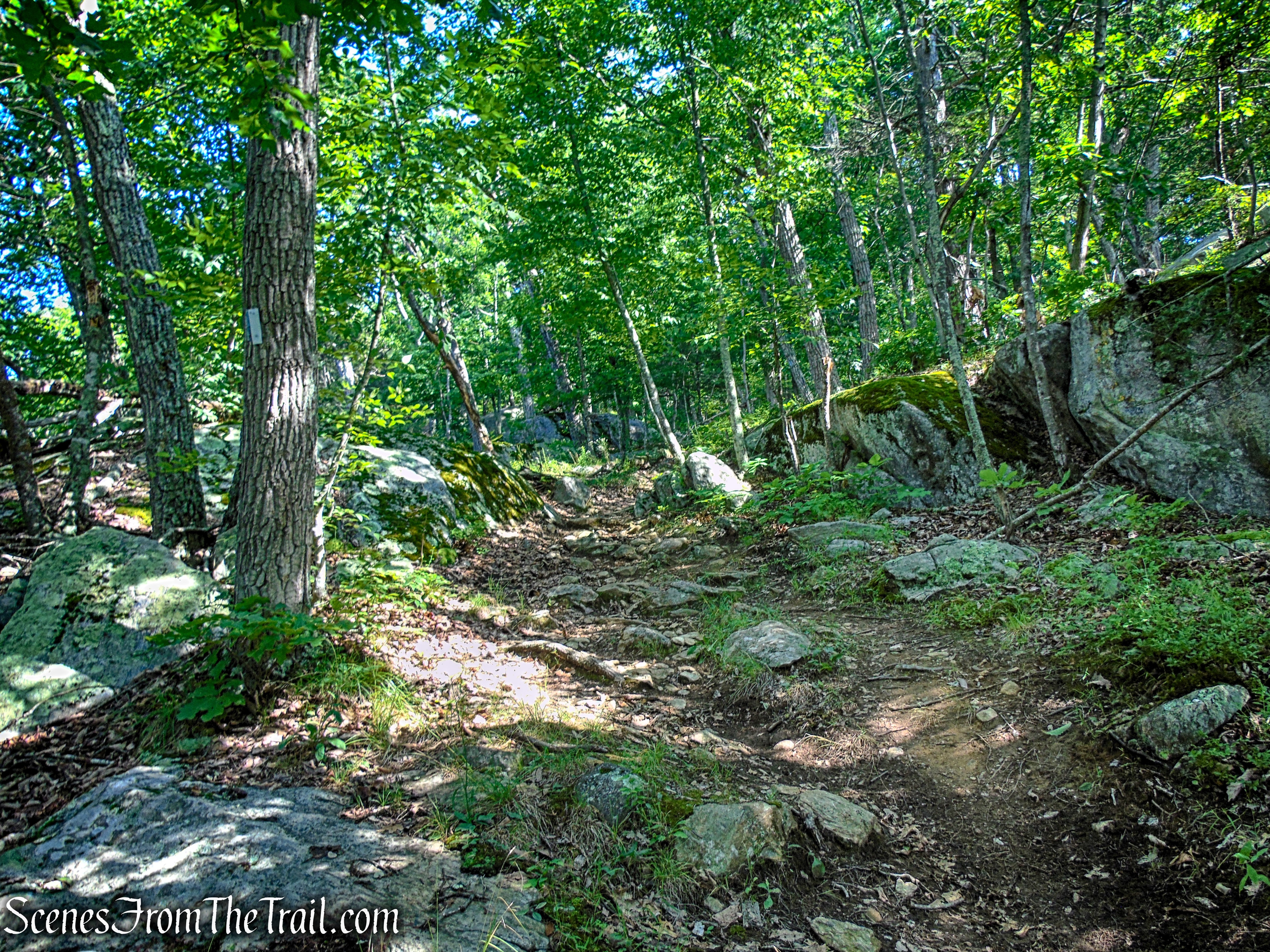 Numeral Rock Trail