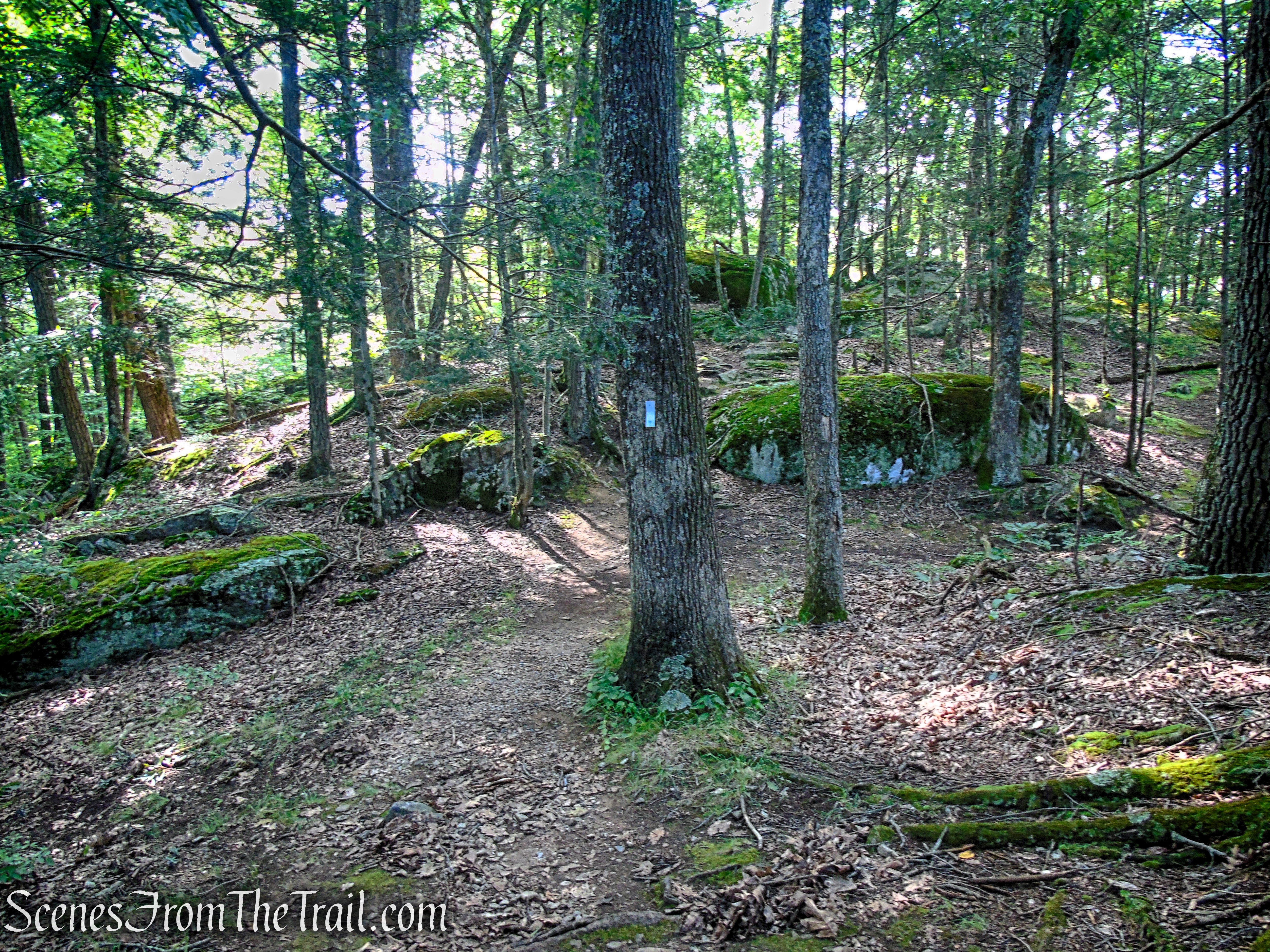 Numeral Rock Trail