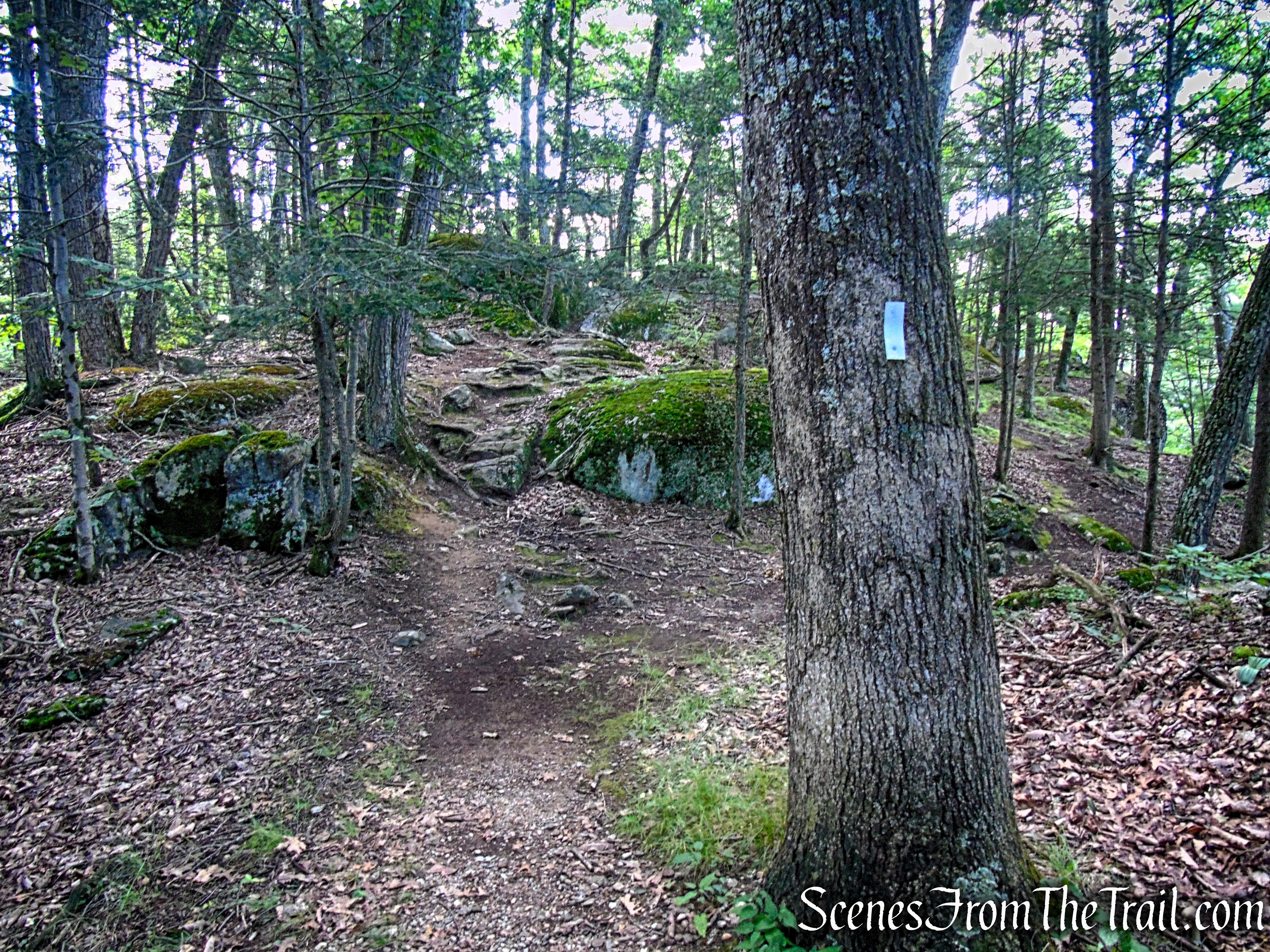 Numeral Rock Trail