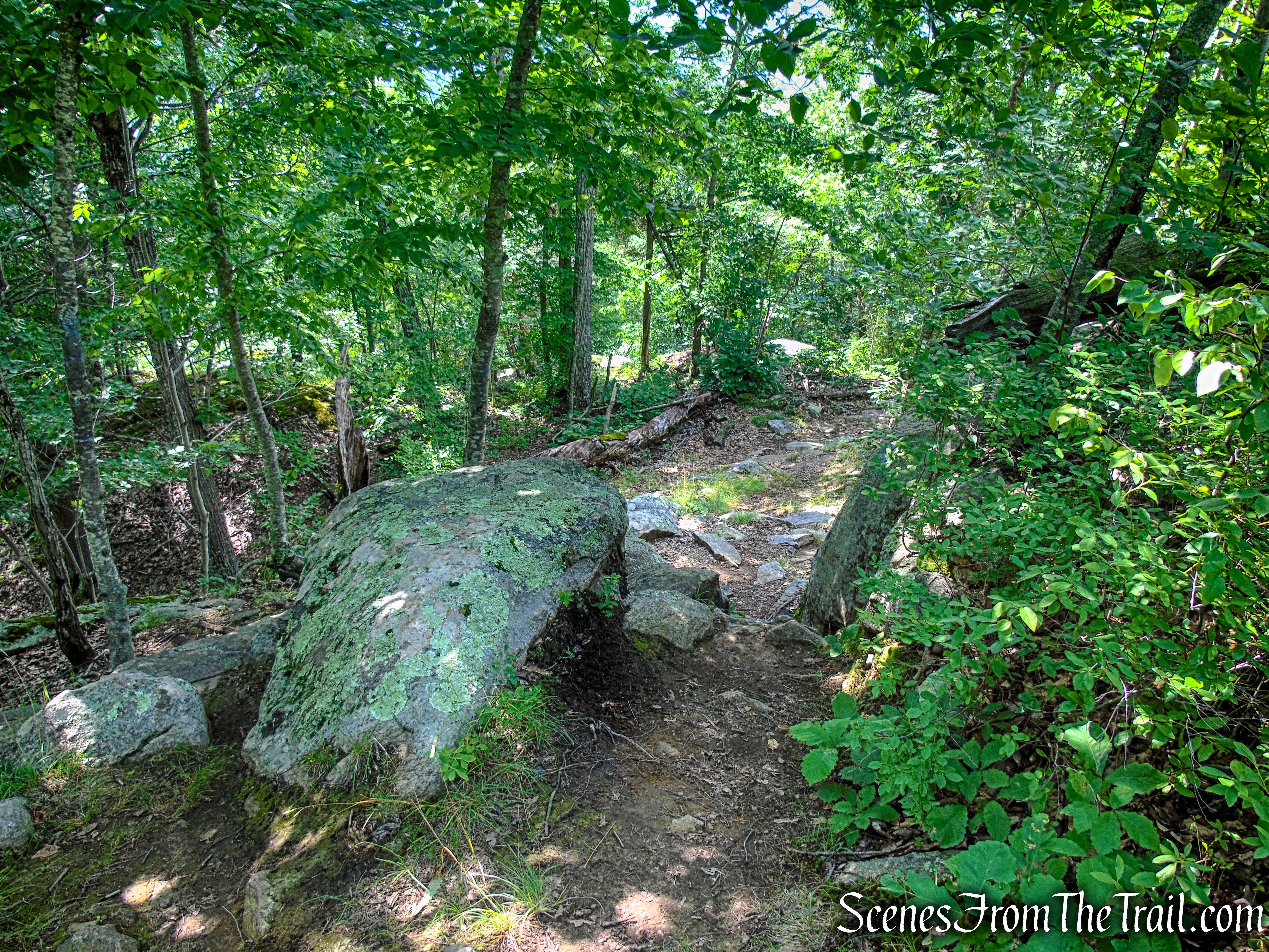 Numeral Rock Trail