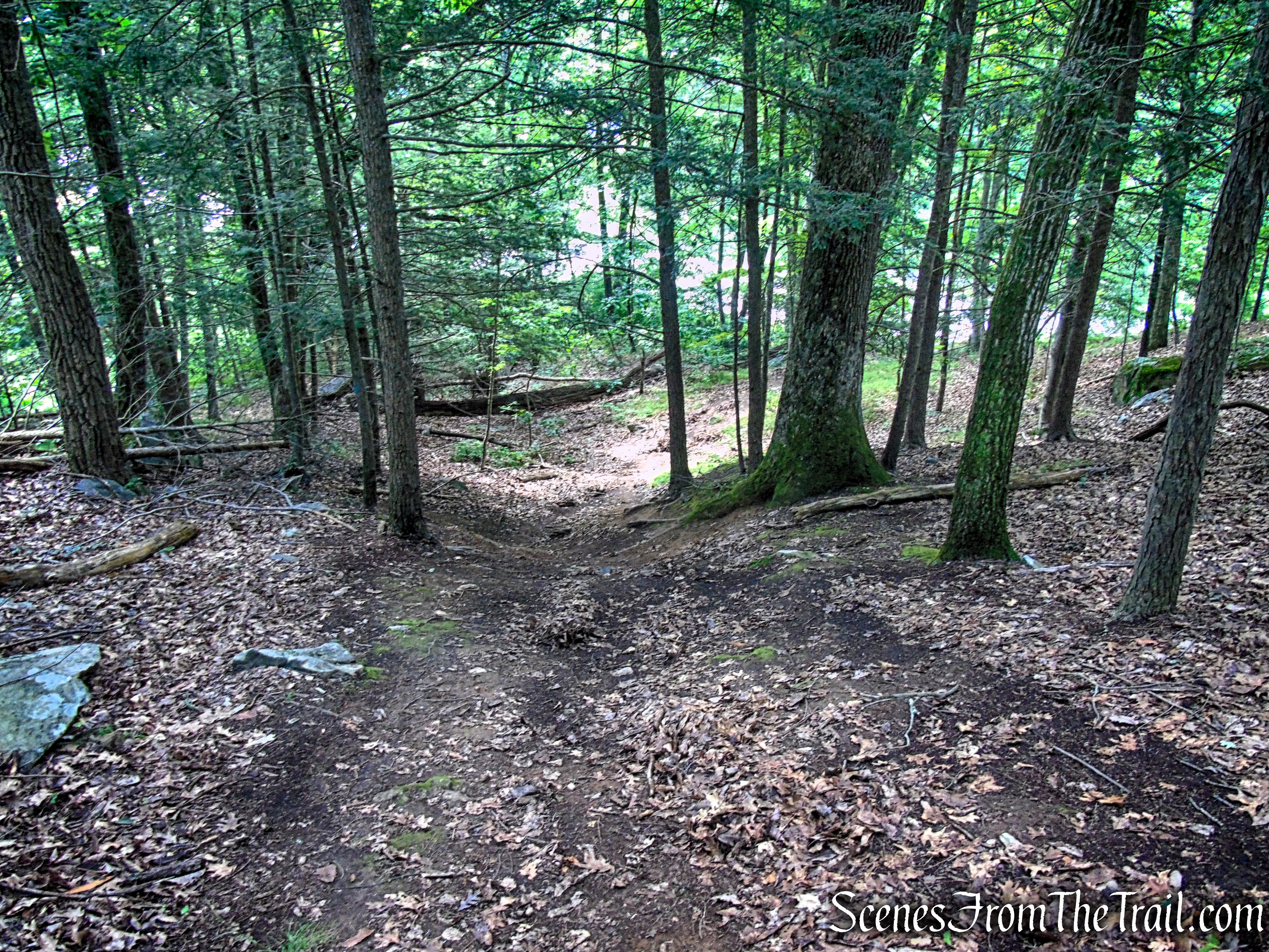 Numeral Rock Trail