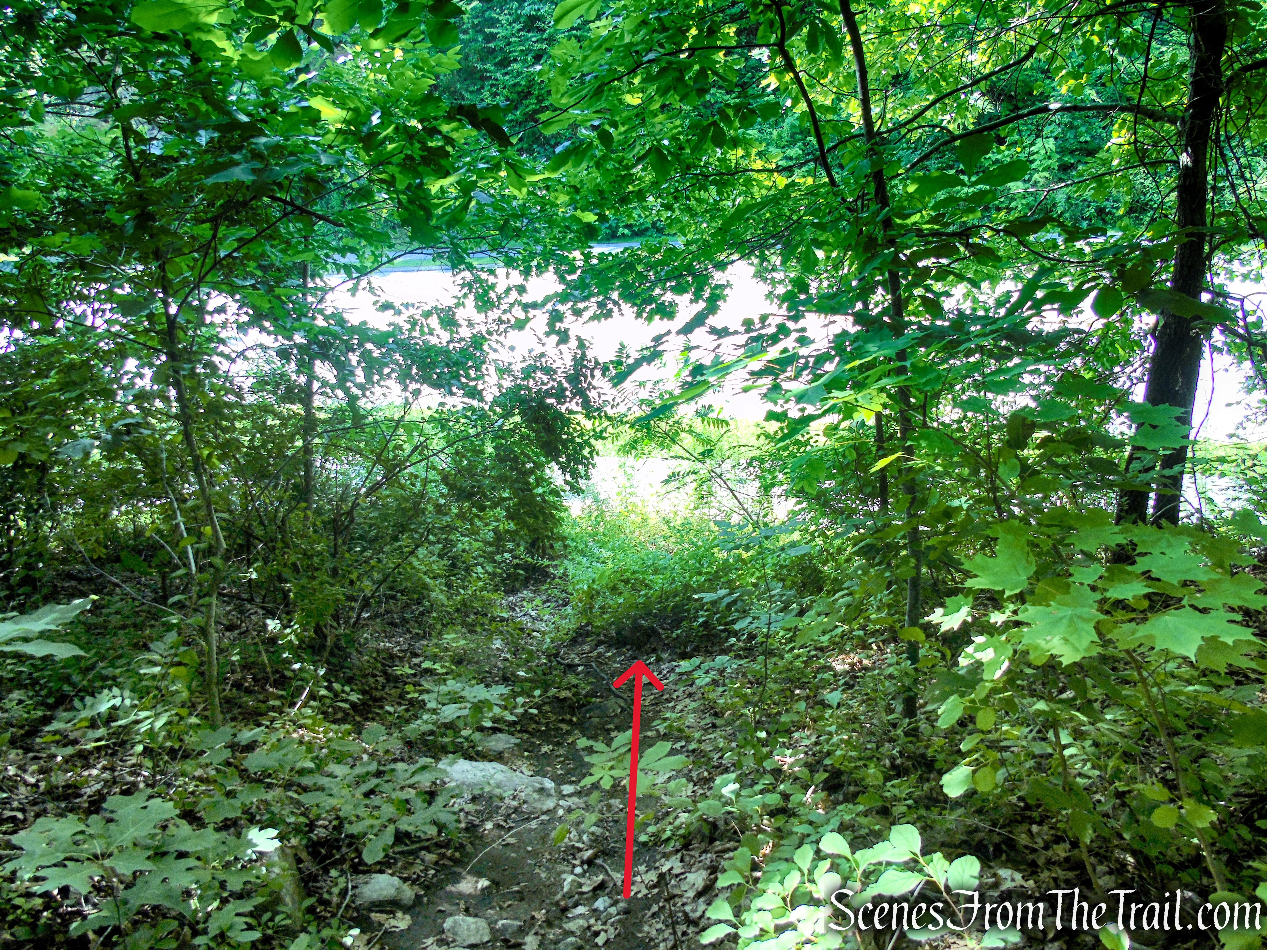 Numeral Rock Trail