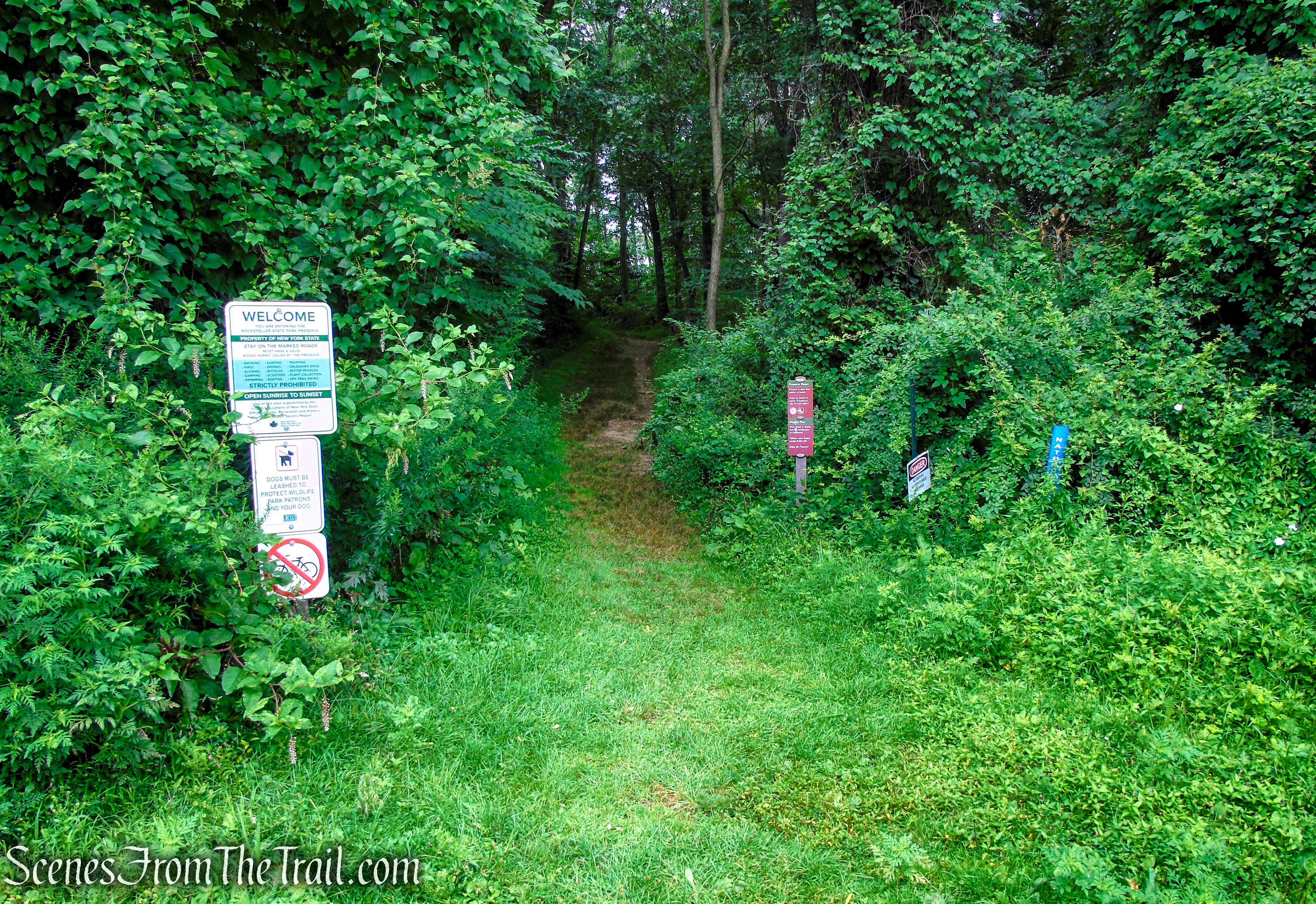 Nature's Way Trail - Rockefeller State Park Preserve