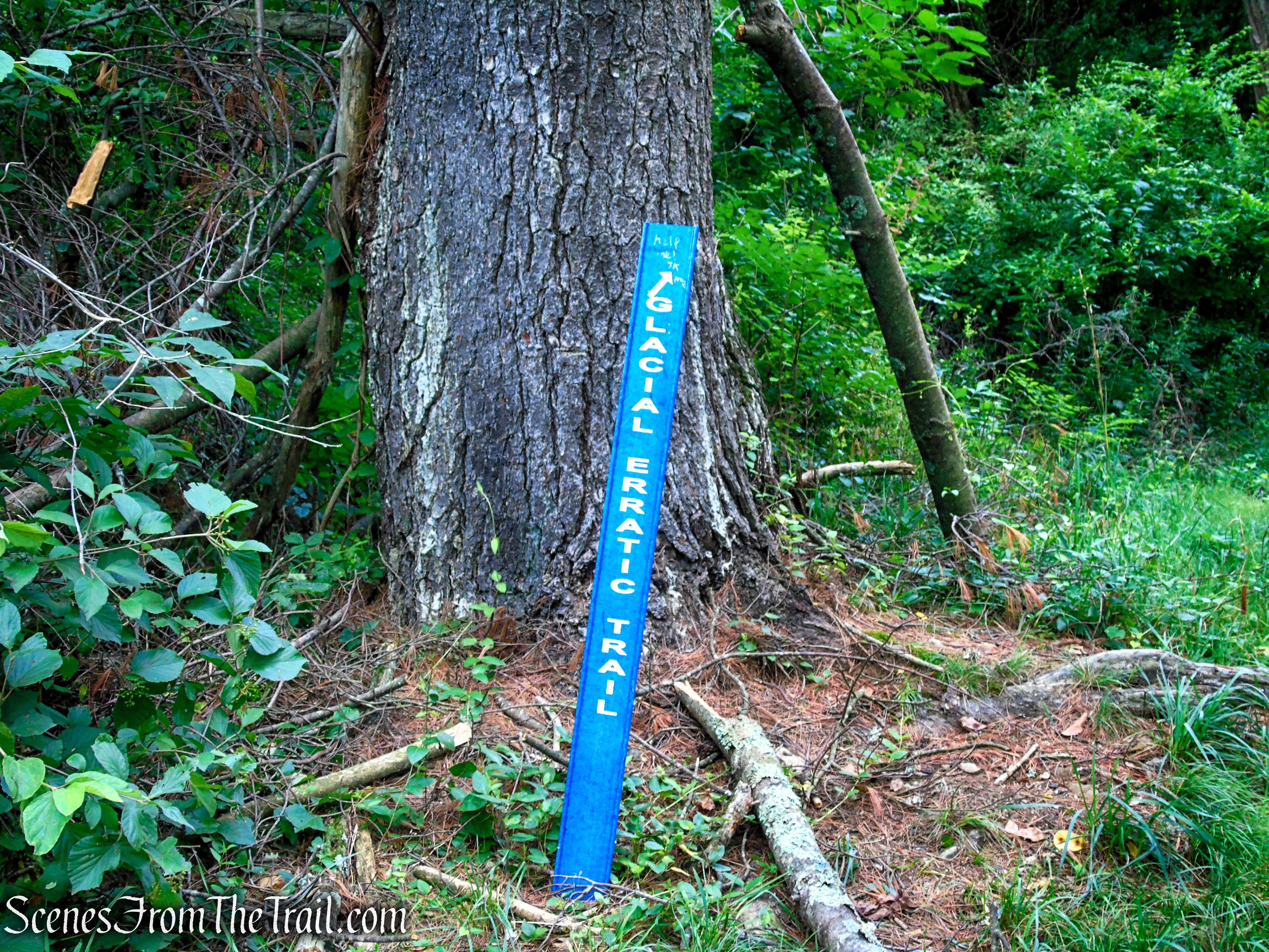 Glacial Erratic Trail - Rockefeller State Park Preserve