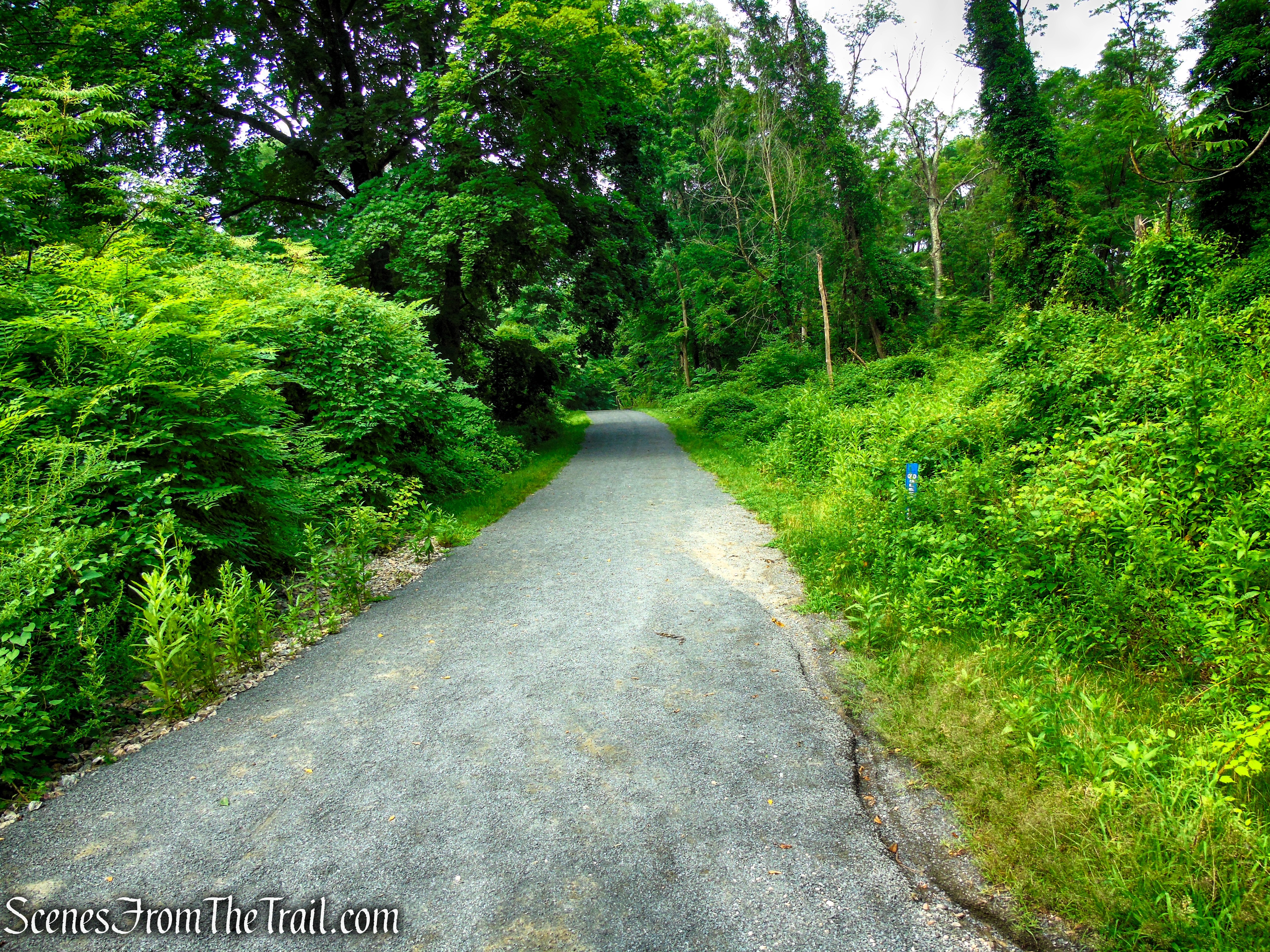 Old Sleepy Hollow Road Trail - Rockefeller State Park Preserve
