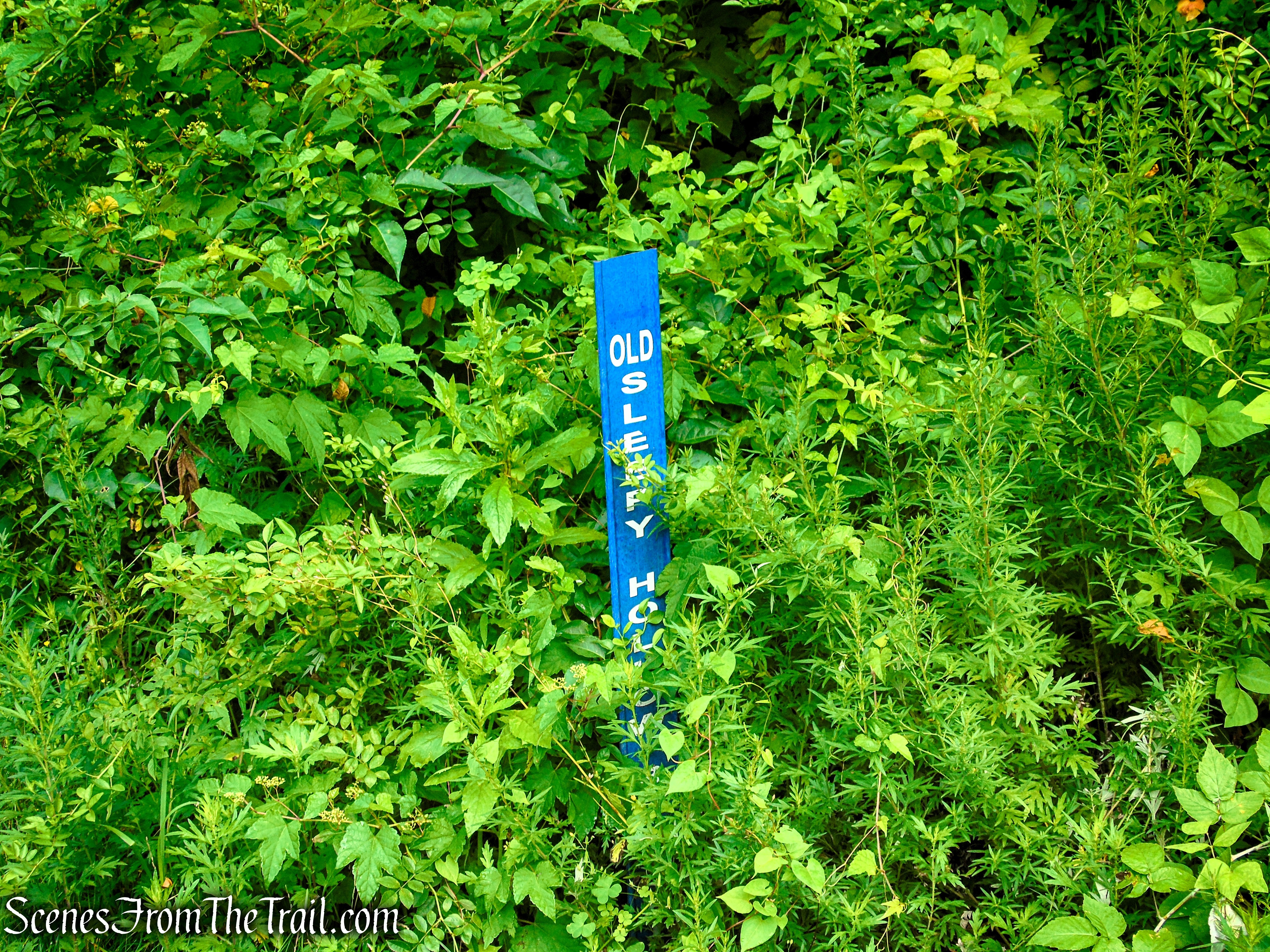 Old Sleepy Hollow Road Trail - Rockefeller State Park Preserve