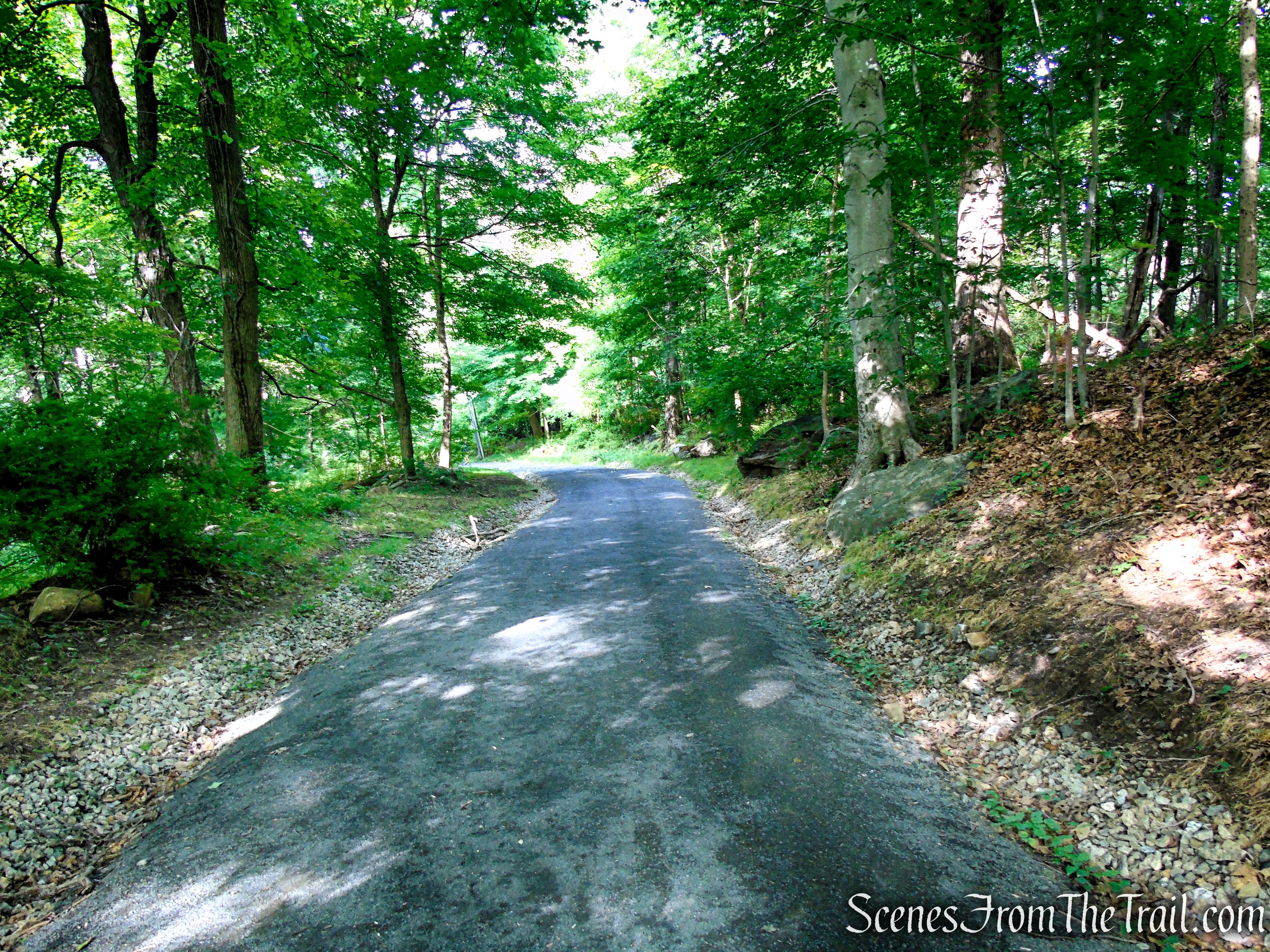 Old Sleepy Hollow Road Trail - Rockefeller State Park Preserve