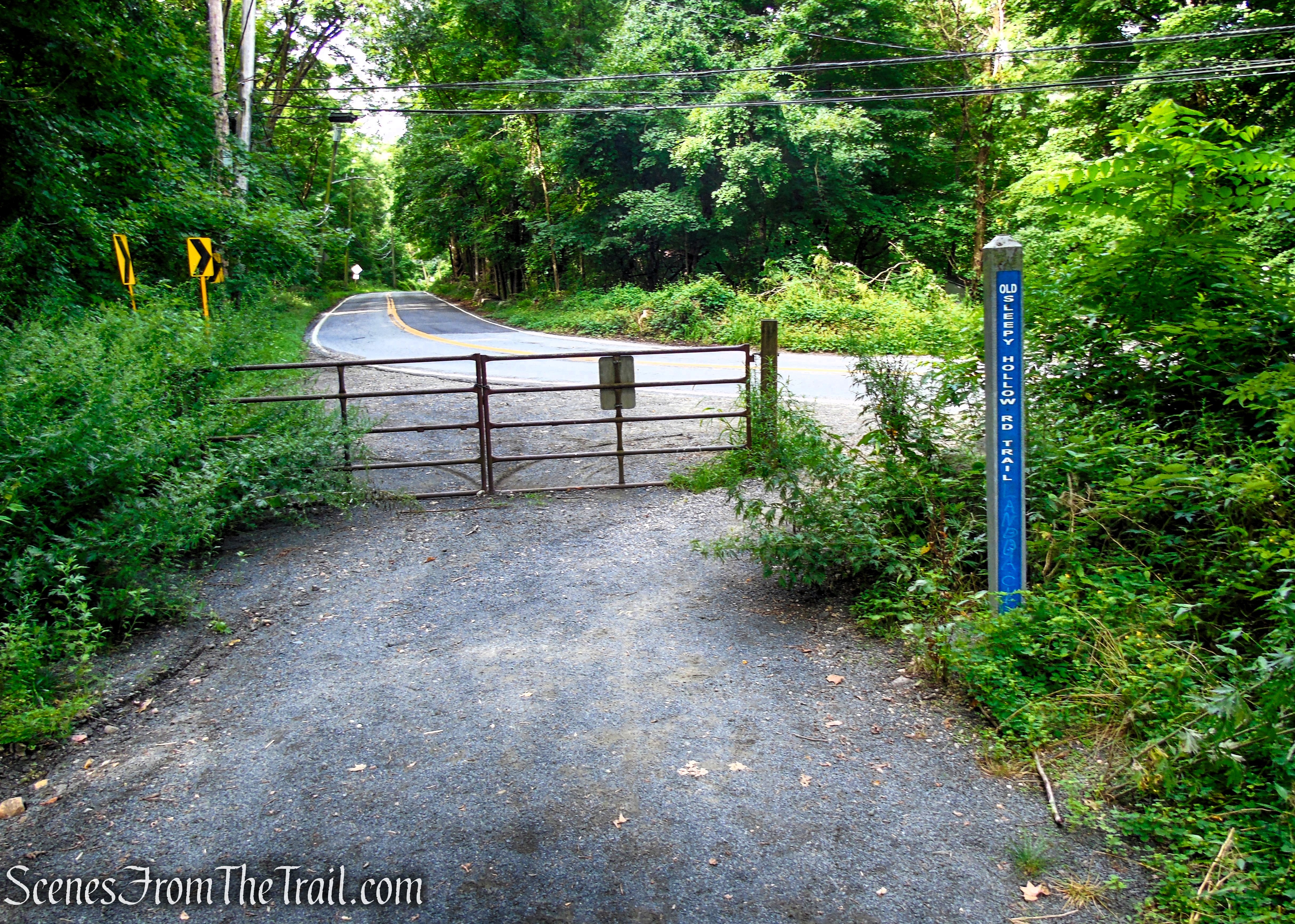 Old Sleepy Hollow Road Trail - Rockefeller State Park Preserve
