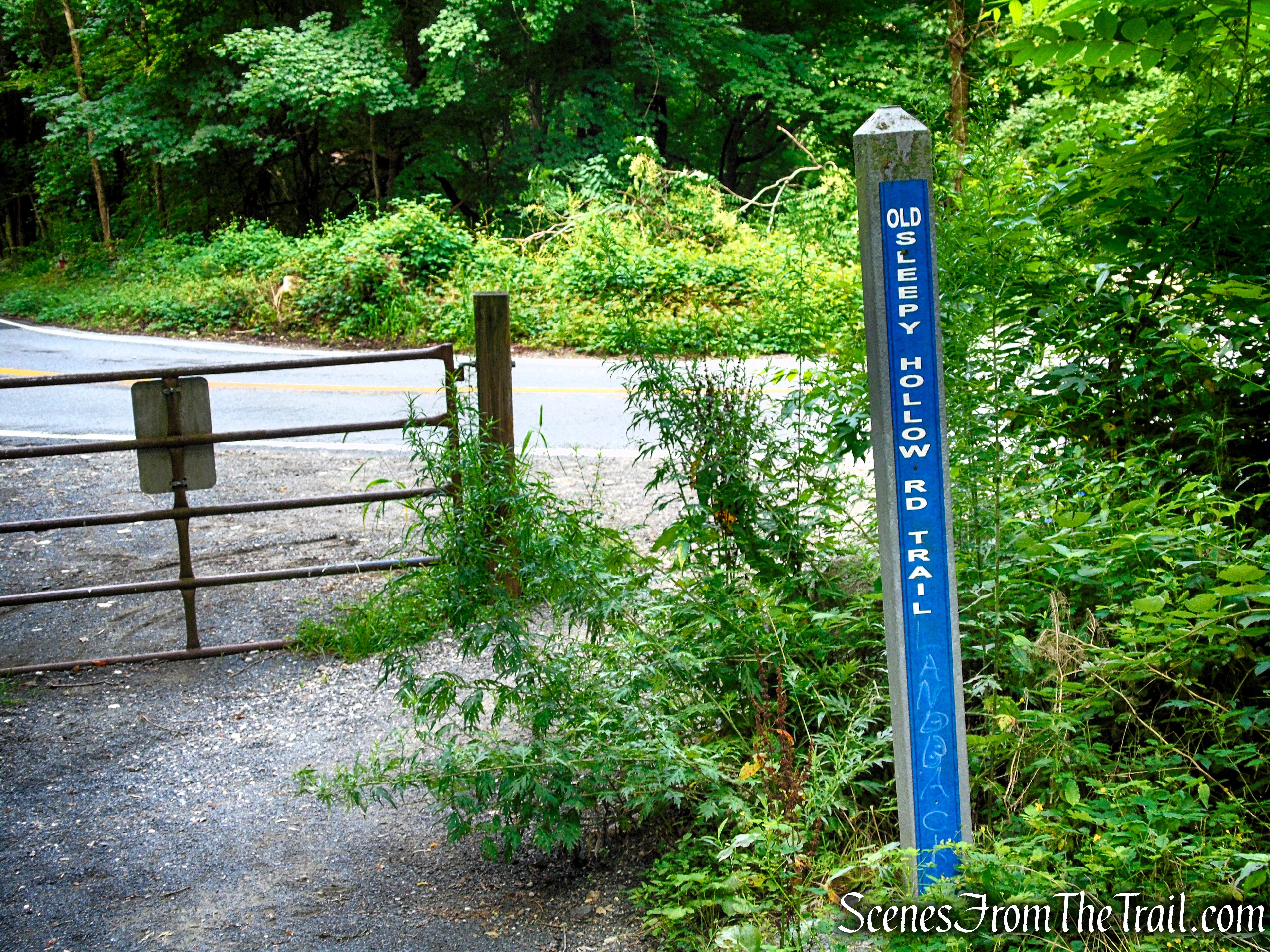Old Sleepy Hollow Road Trail - Rockefeller State Park Preserve