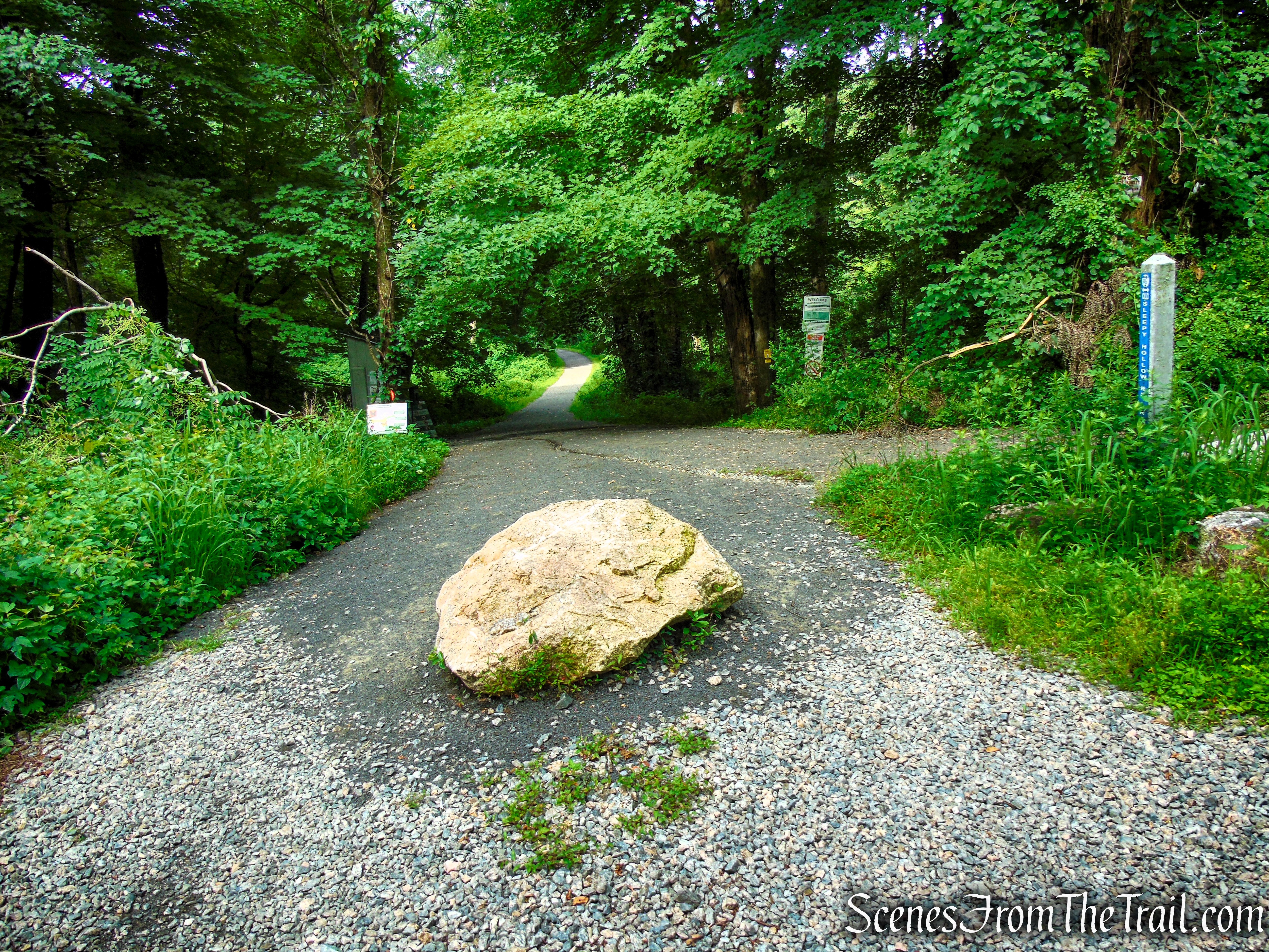 Old Sleepy Hollow Road Trail - Rockefeller State Park Preserve