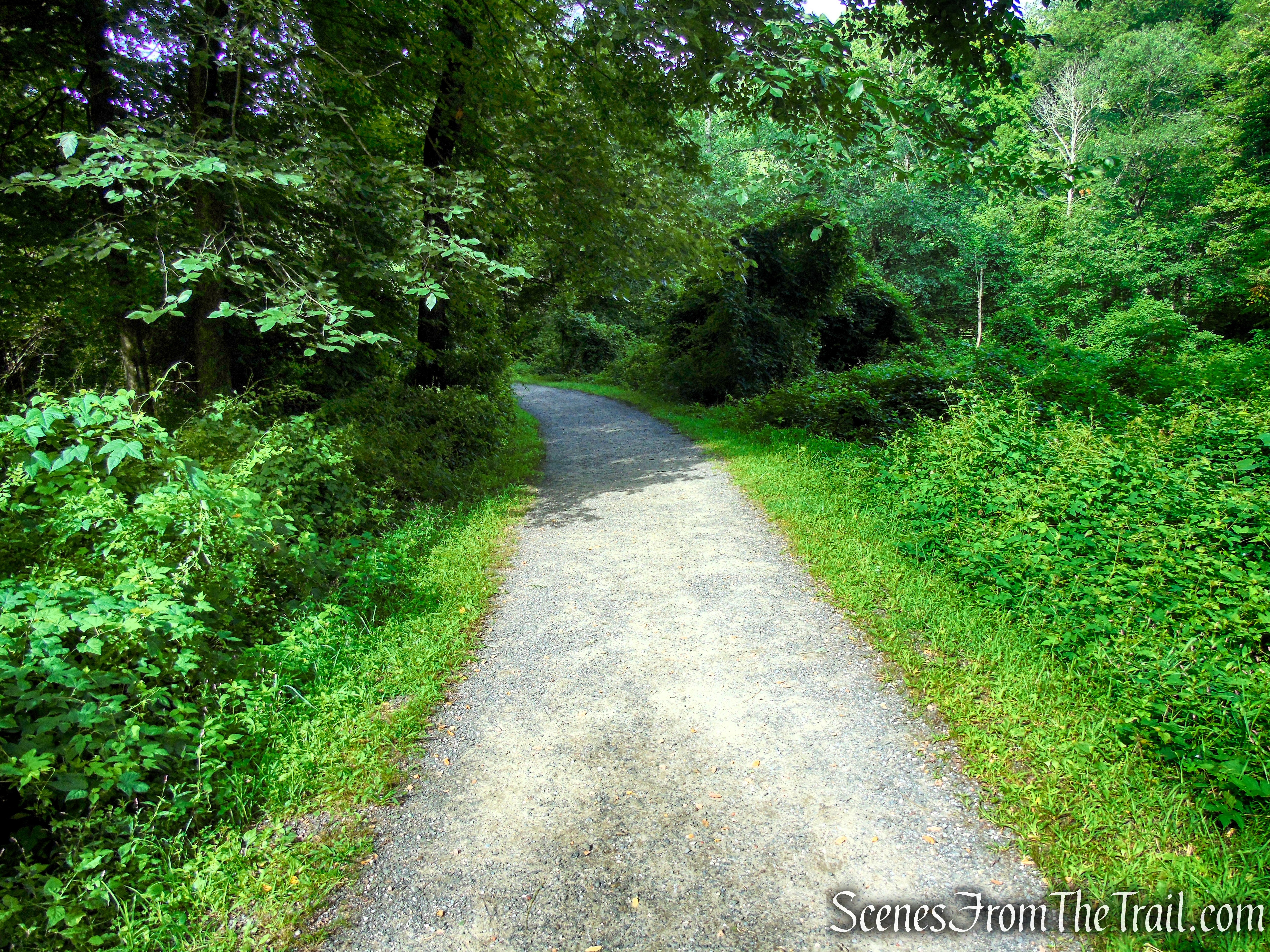 Old Sleepy Hollow Road Trail - Rockefeller State Park Preserve