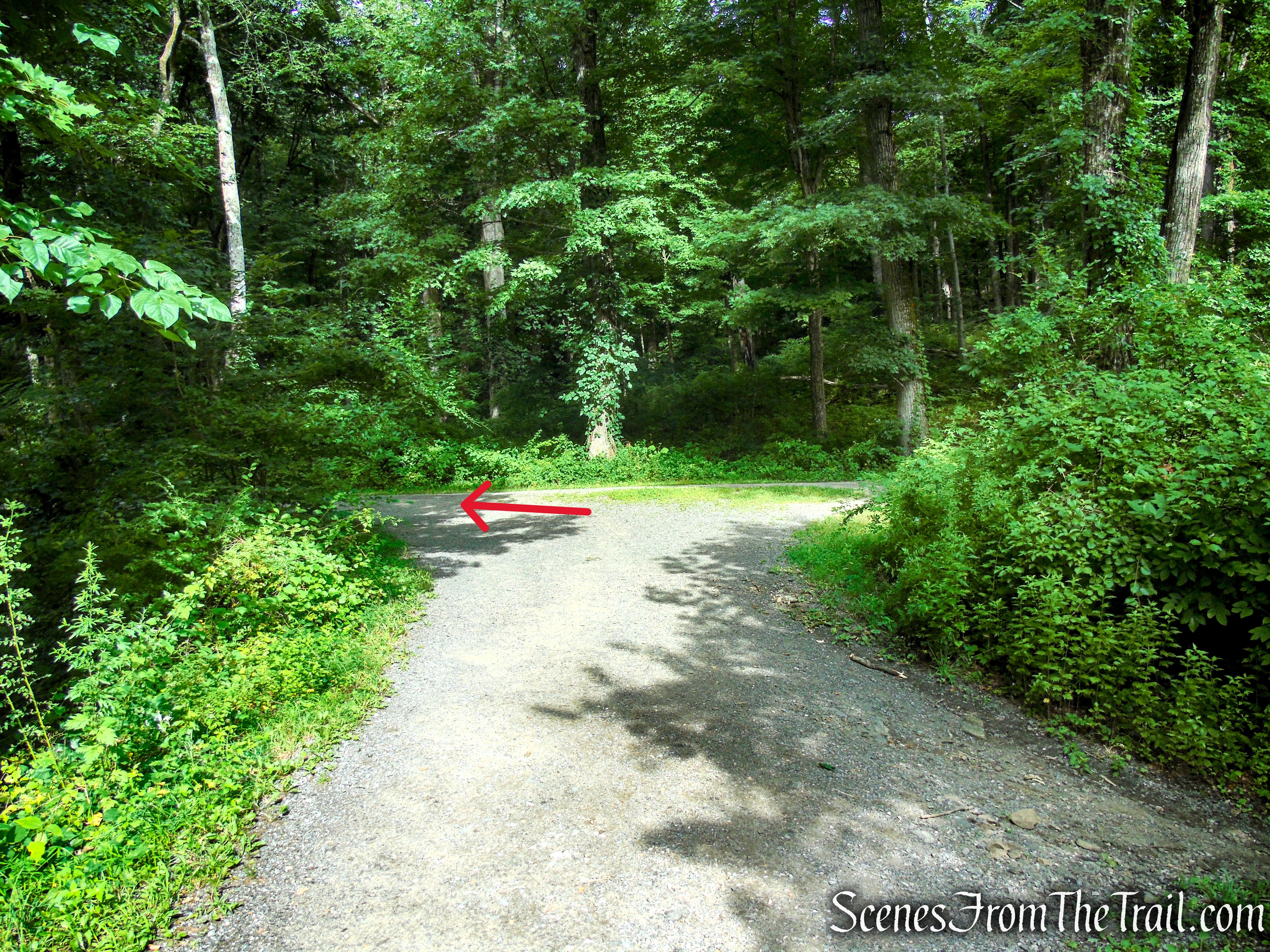 Turn left on Pocantico River Trail