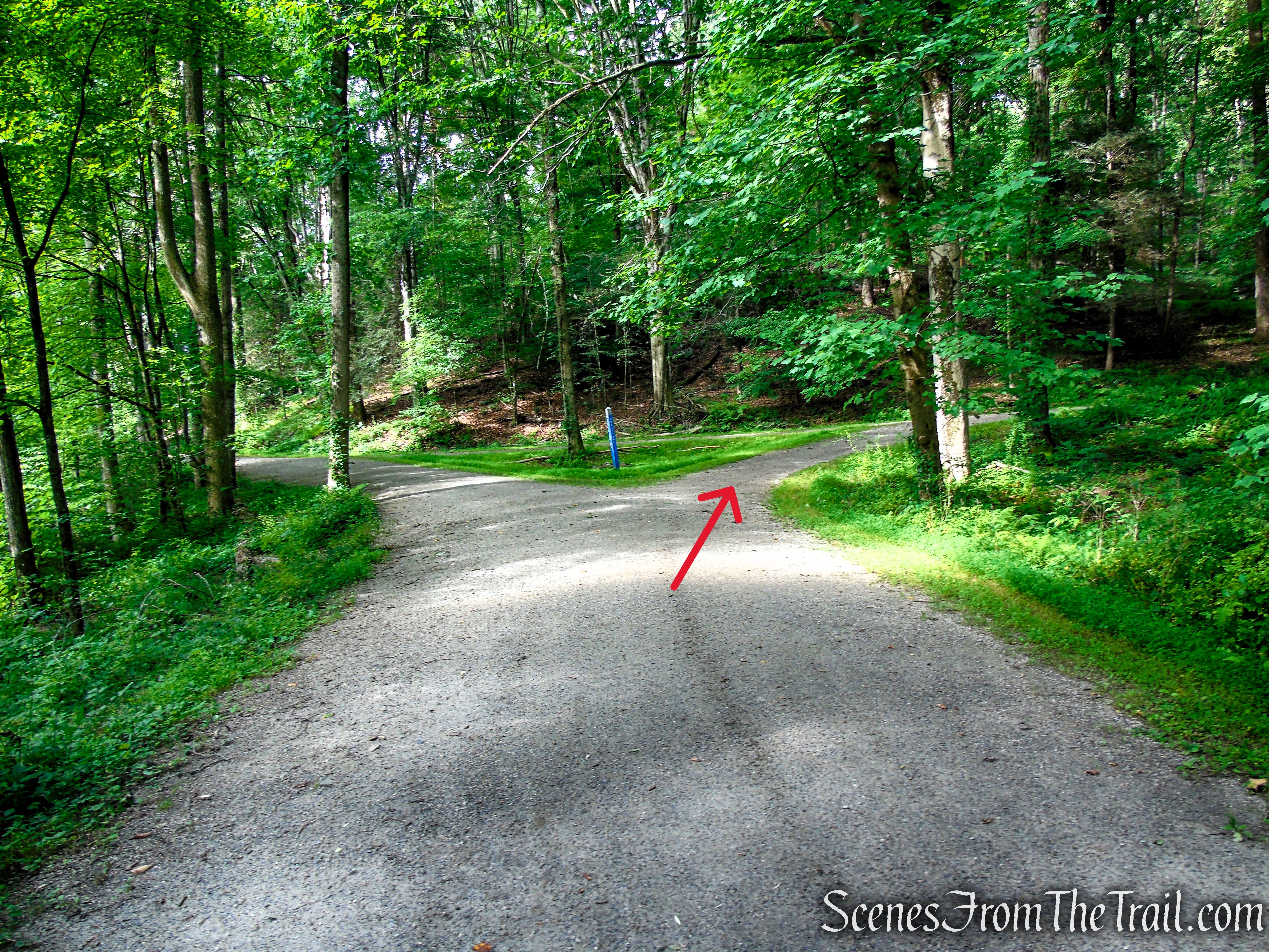 Turn right on Eagle Hill Trail