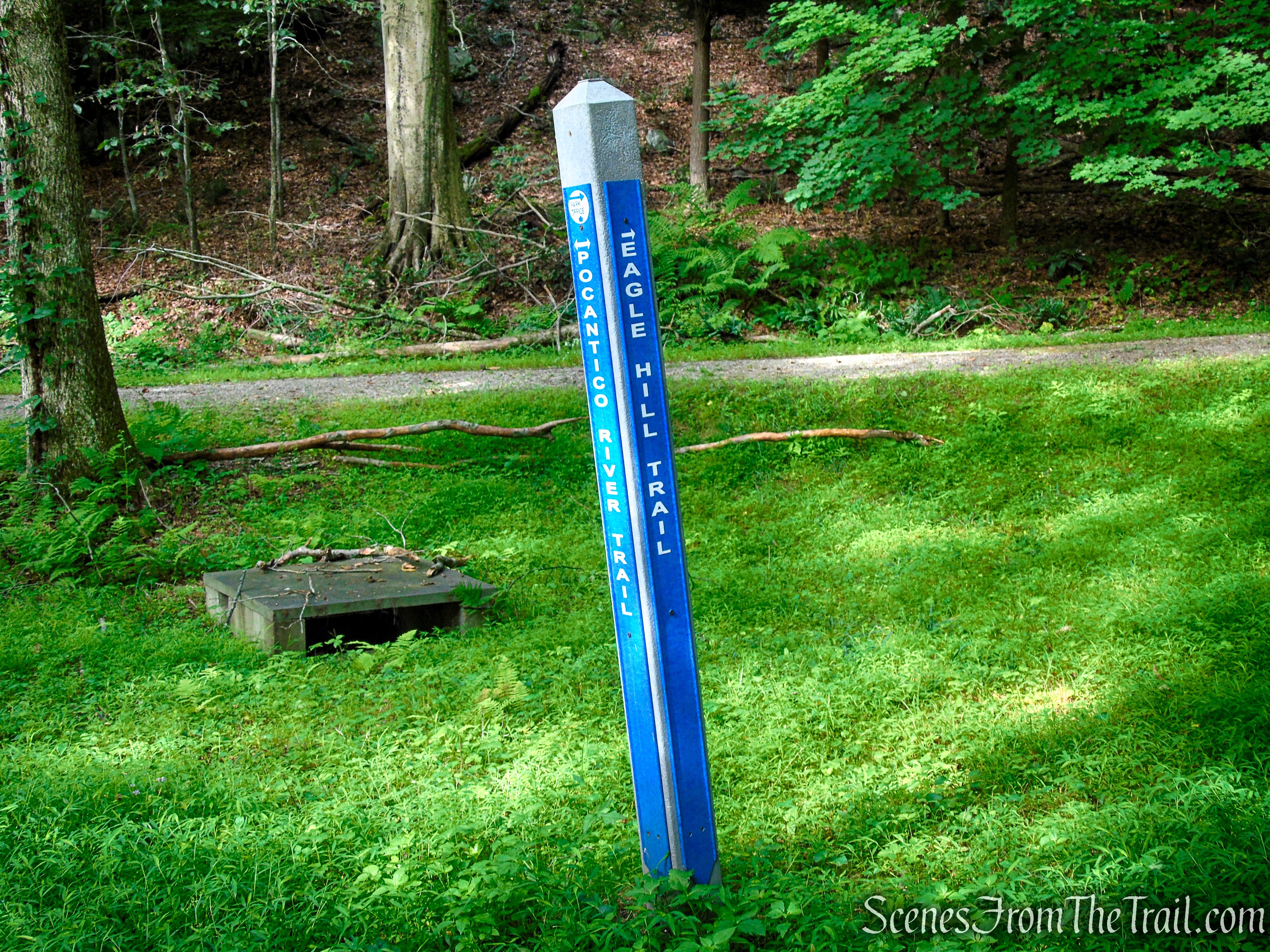 Turn right on Eagle Hill Trail