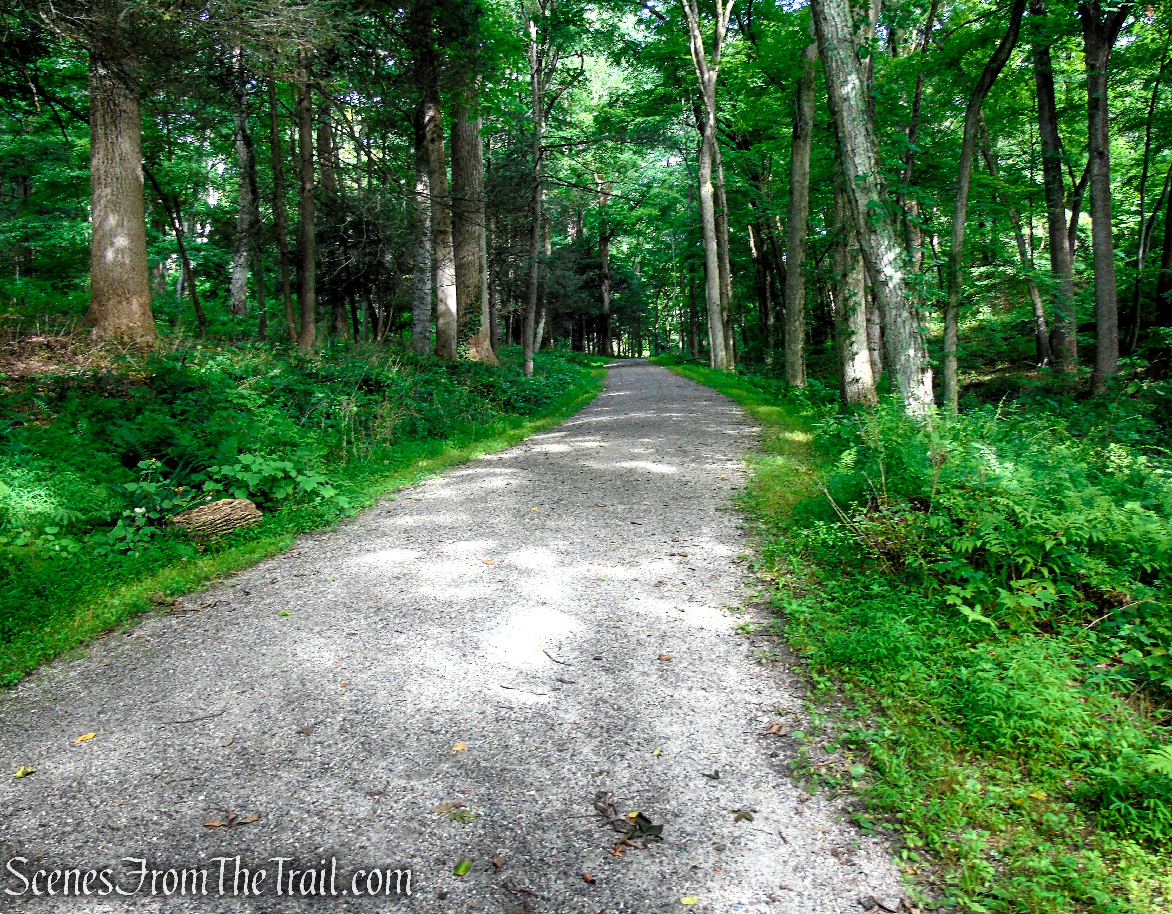 Eagle Hill Trail - Rockefeller State Park Preserve