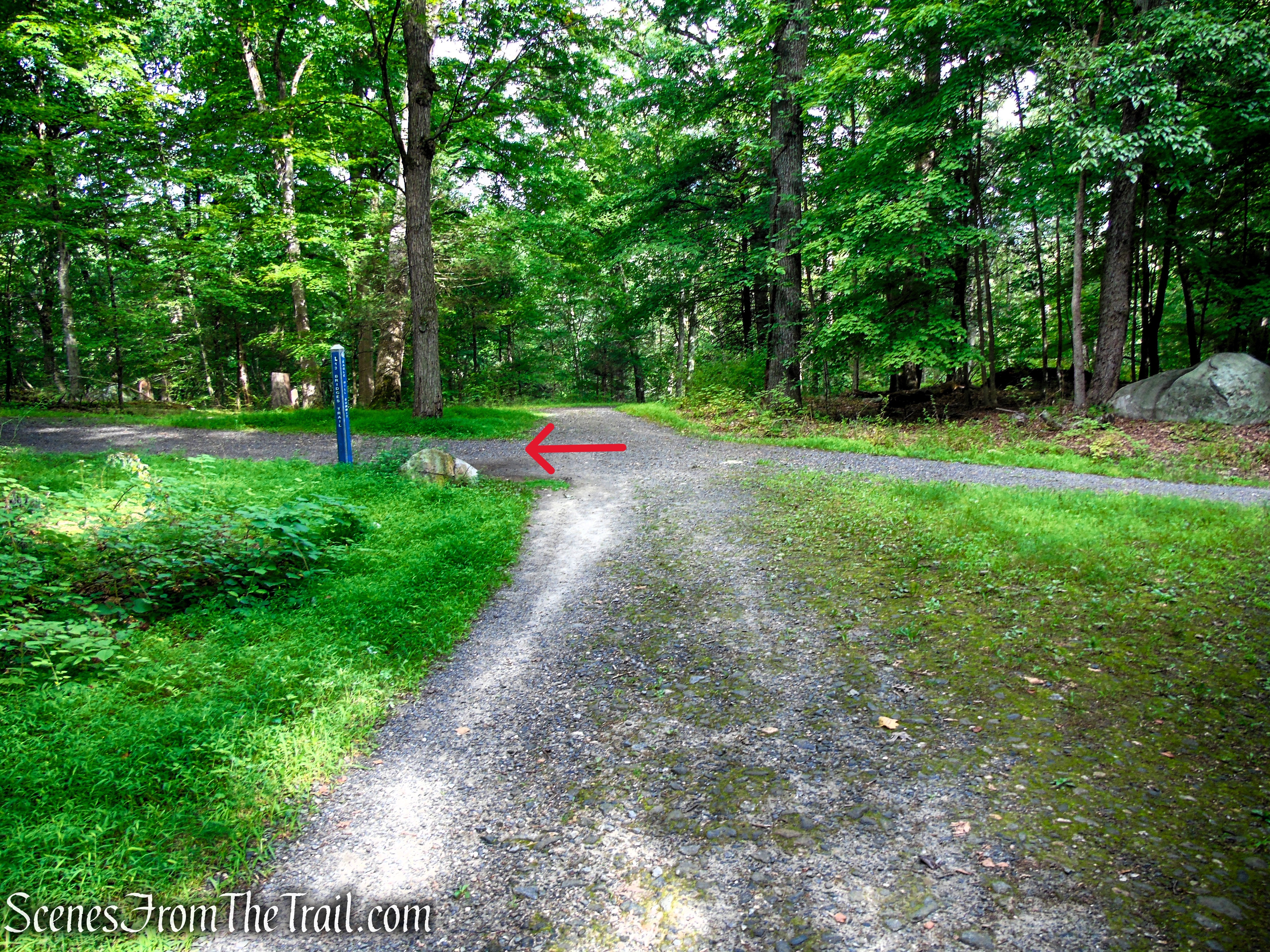 Turn left on Eagle Hill Trail