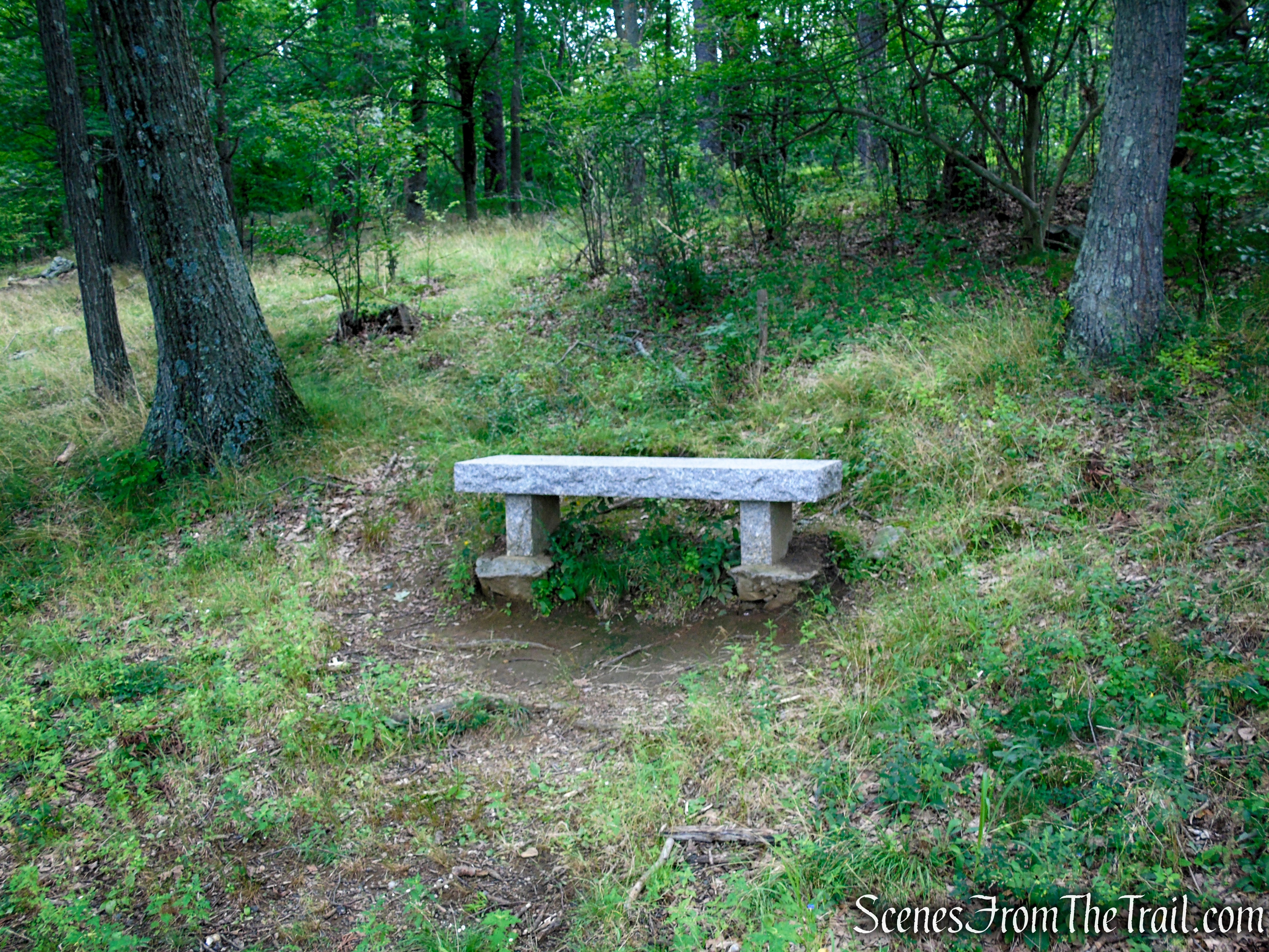 Eagle Hill Trail - Rockefeller State Park Preserve