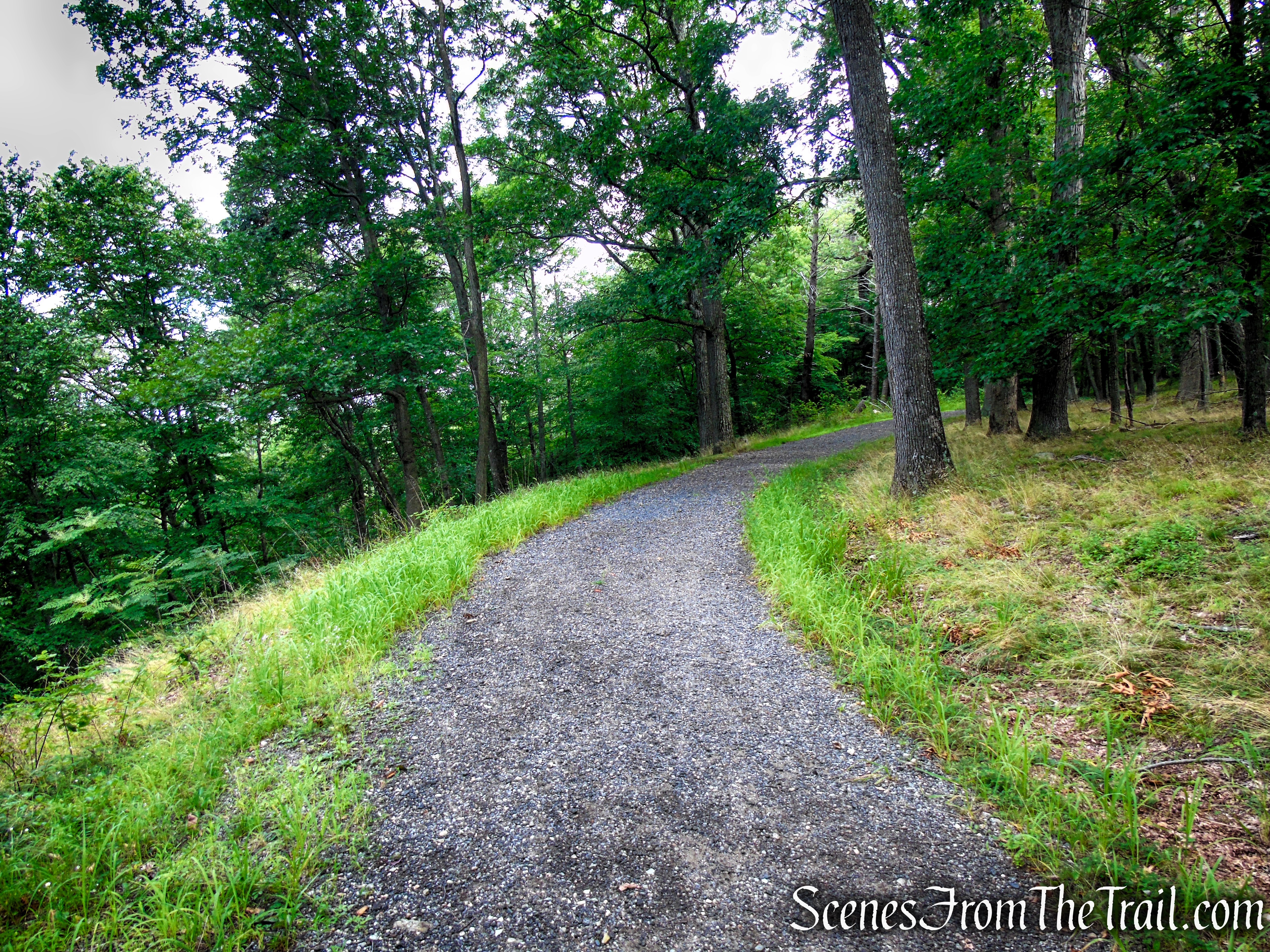 Eagle Hill Trail - Rockefeller State Park Preserve