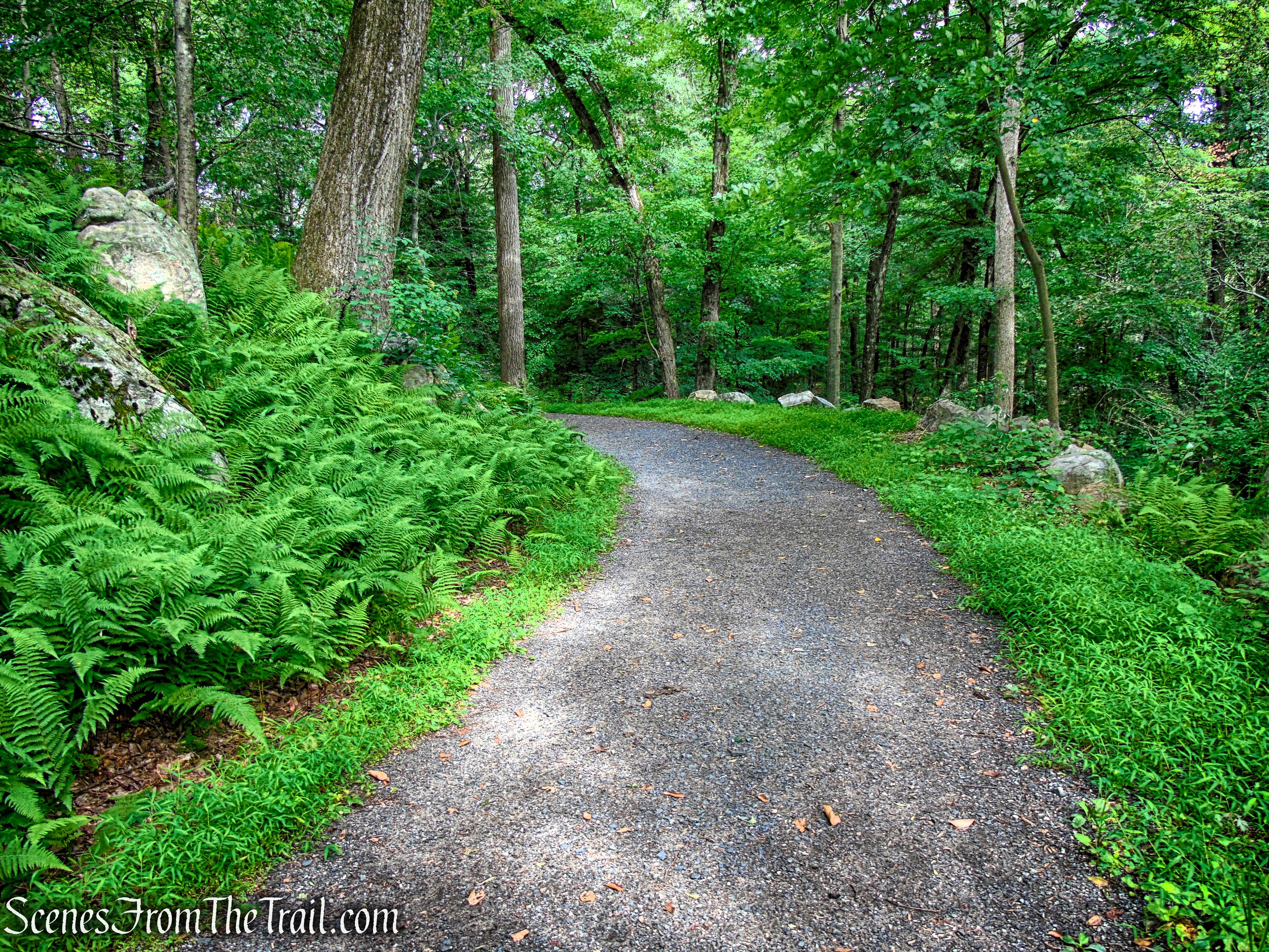Eagle Hill Trail - Rockefeller State Park Preserve