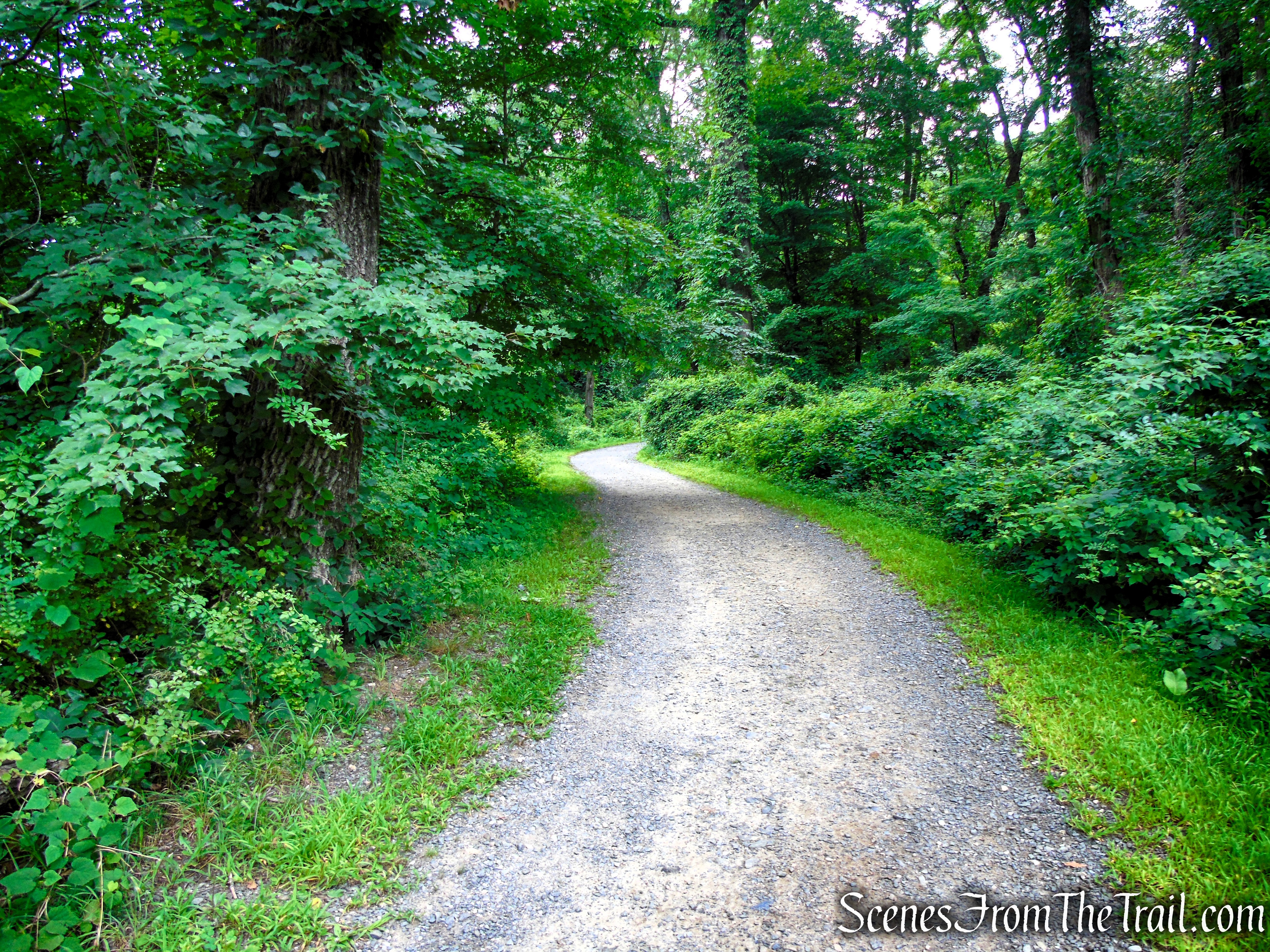 Old Sleepy Hollow Road Trail - Rockefeller State Park Preserve