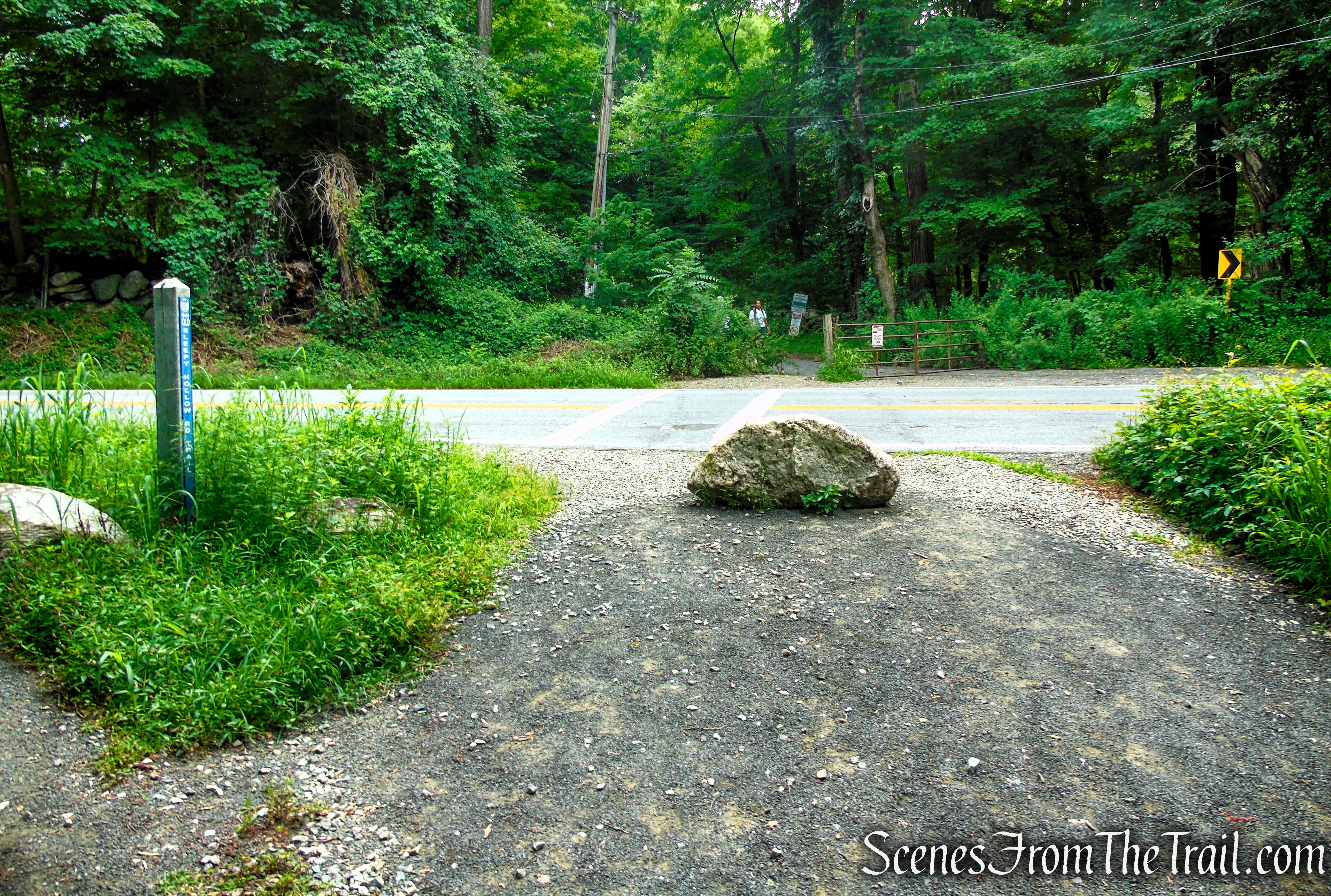 Old Sleepy Hollow Road Trail - Rockefeller State Park Preserve