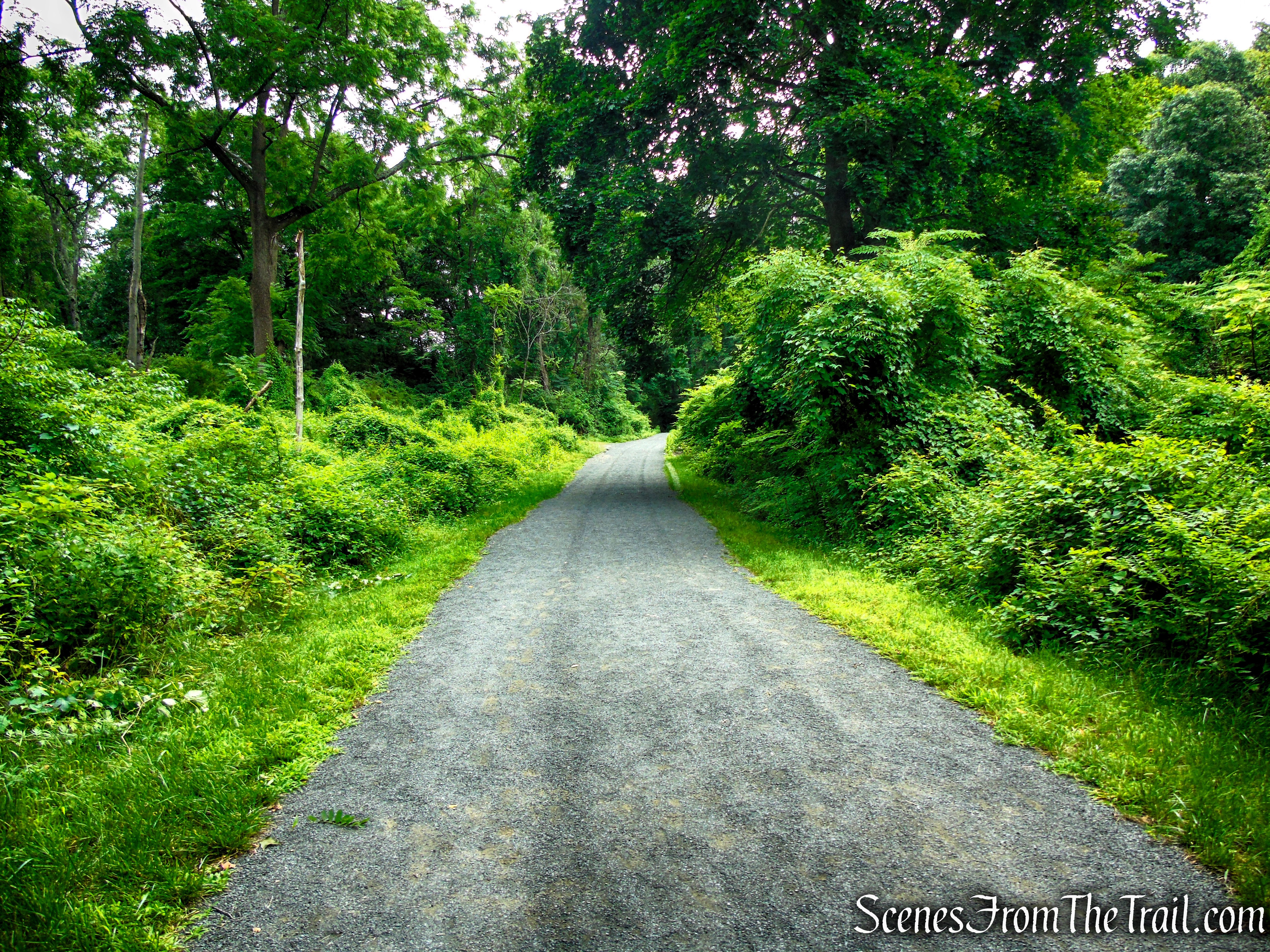 Old Sleepy Hollow Road Trail - Rockefeller State Park Preserve