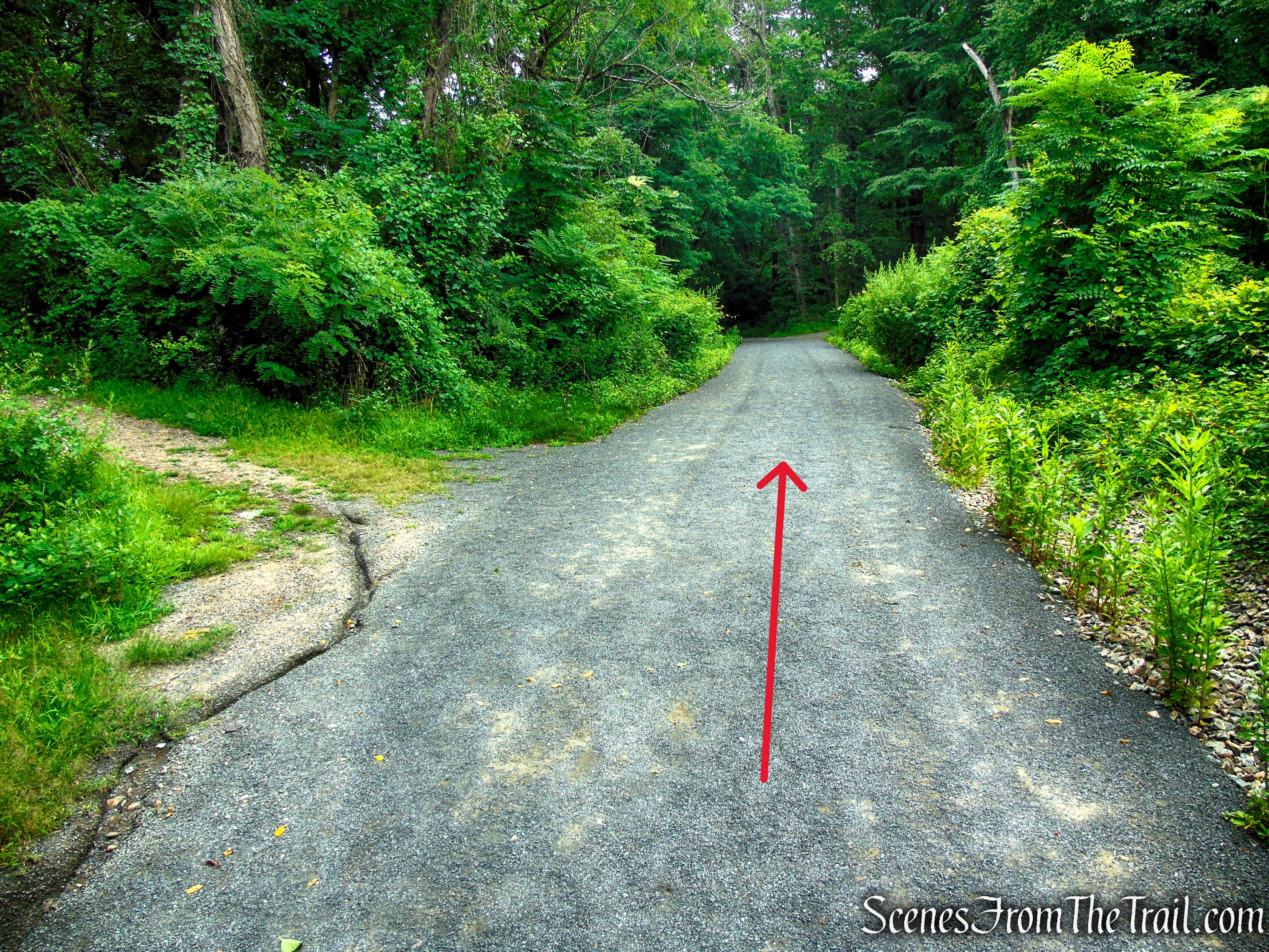 Old Sleepy Hollow Road Trail - Rockefeller State Park Preserve