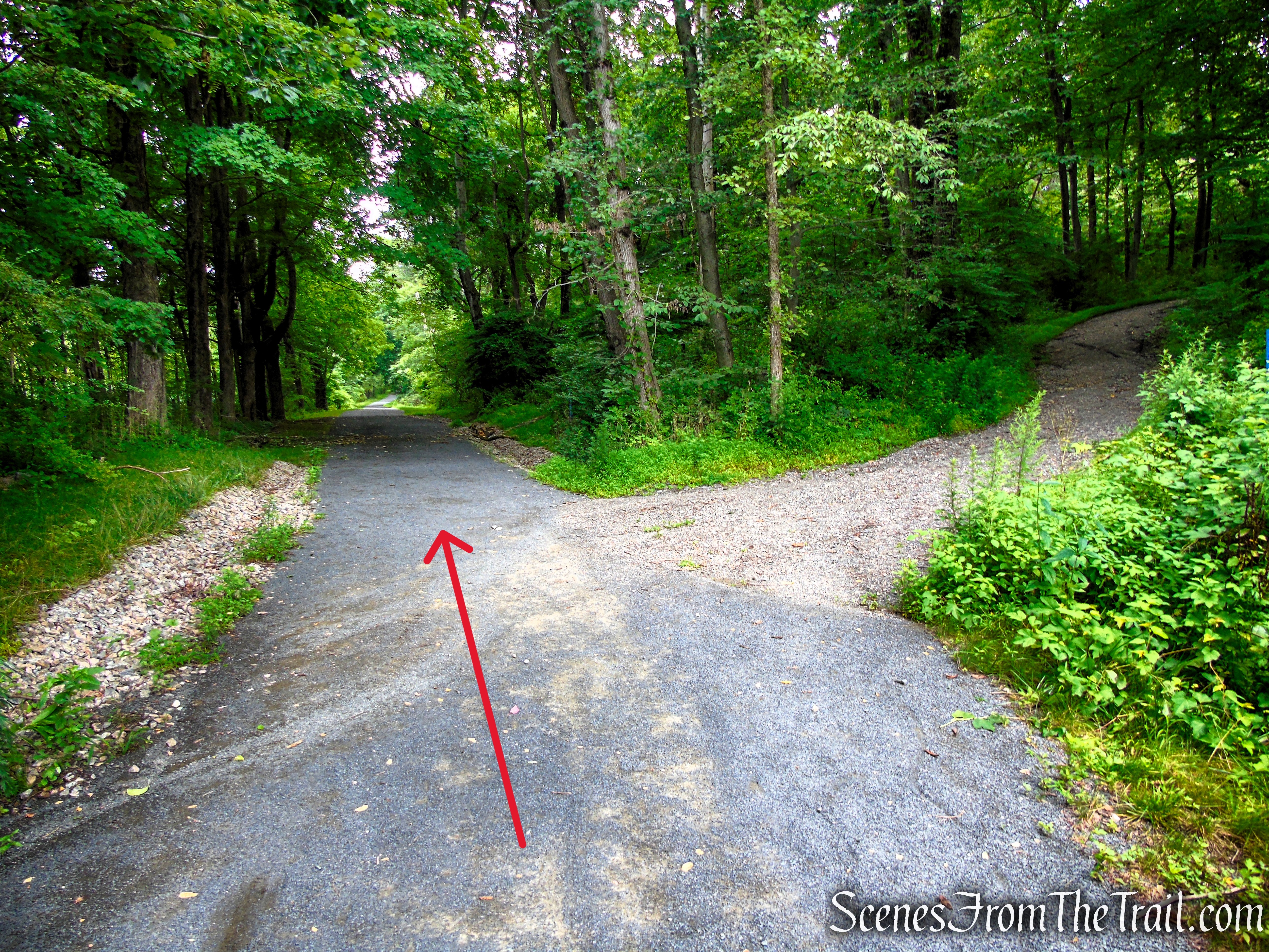 Old Sleepy Hollow Road Trail - Rockefeller State Park Preserve