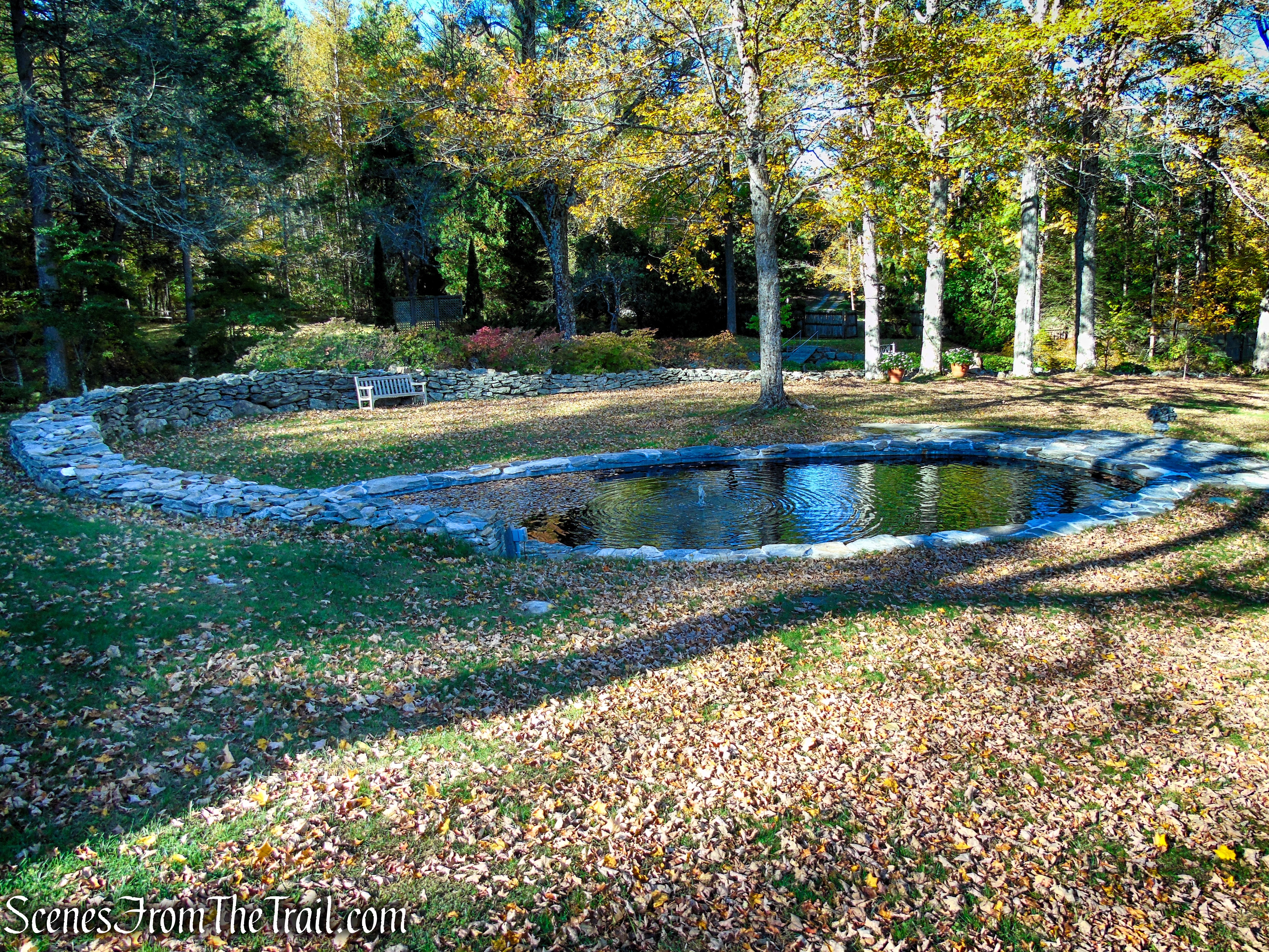 Pond - Ashintully Gardens
