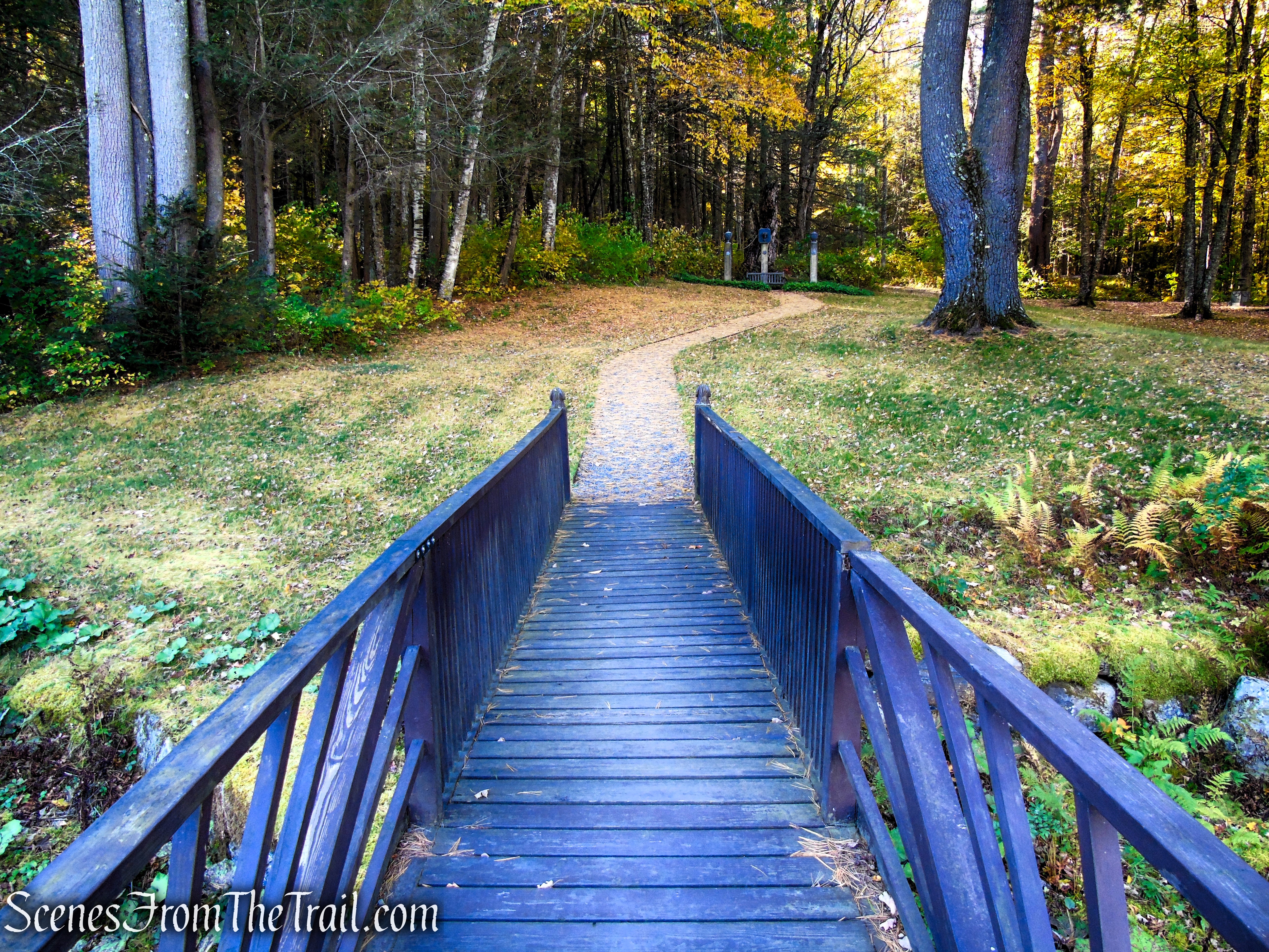 Footbridge - Ashintully Gardens