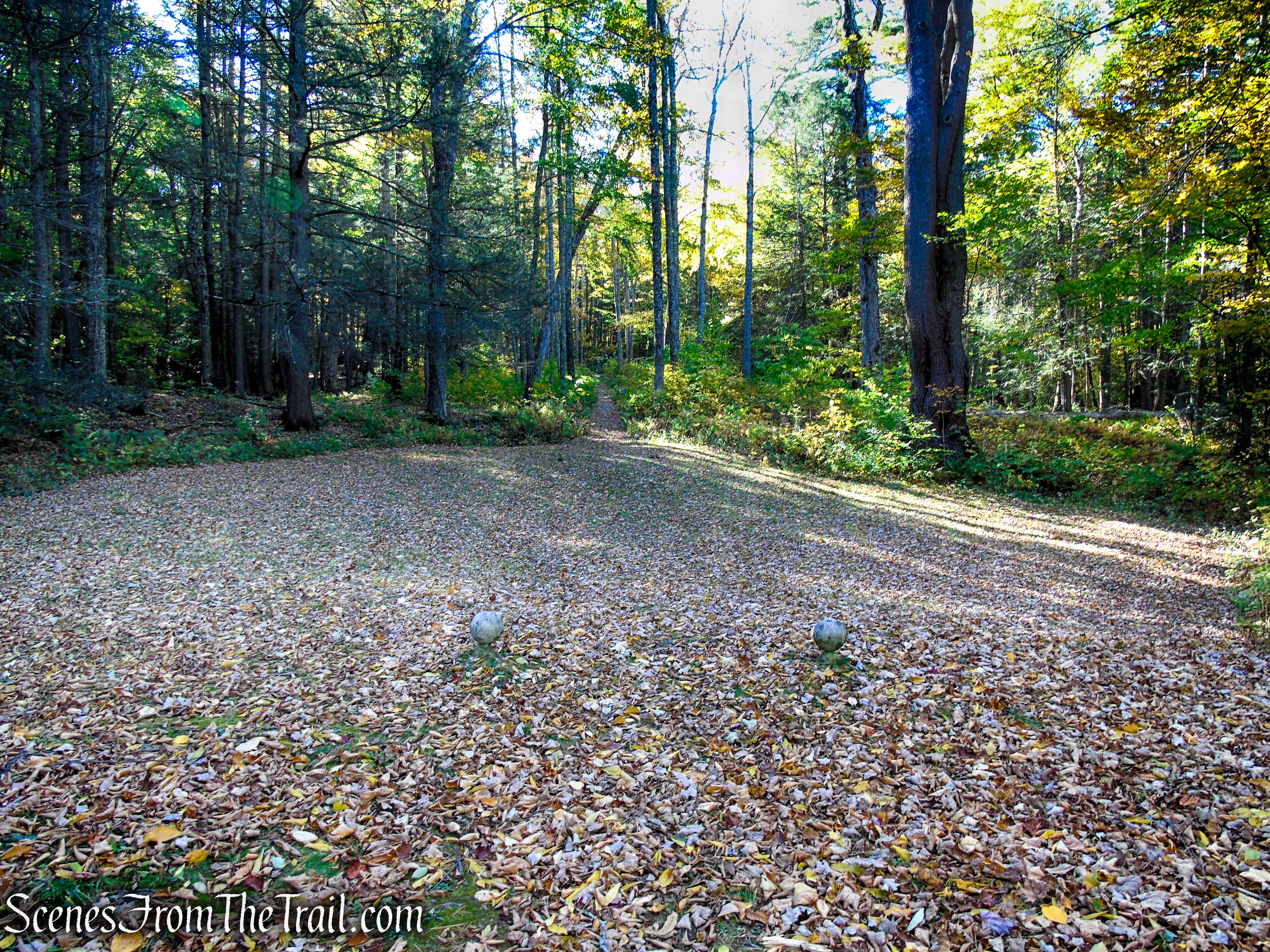 Ashintully Gardens