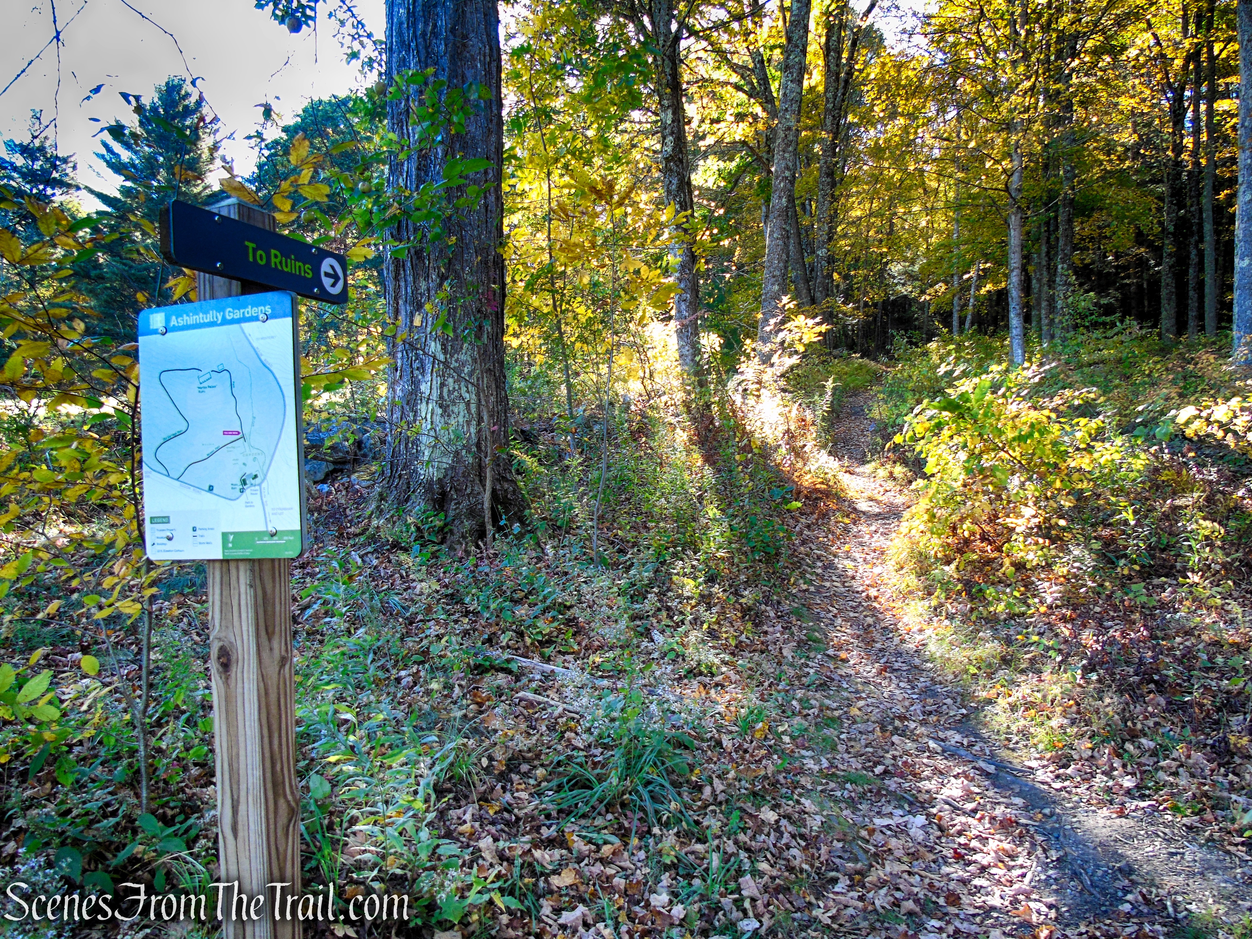 Ruins Trail - Ashintully Gardens