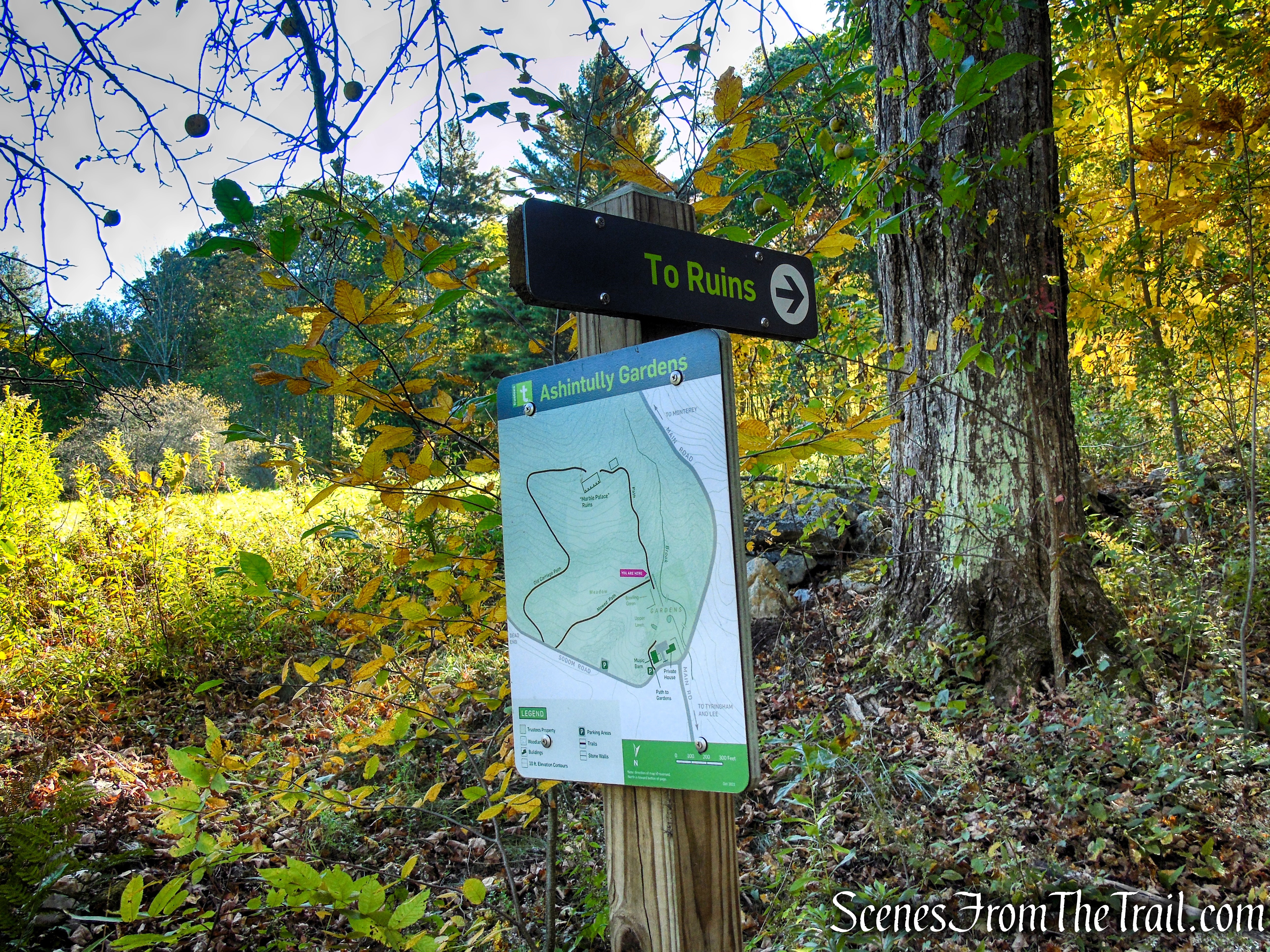Ruins Trail - Ashintully Gardens