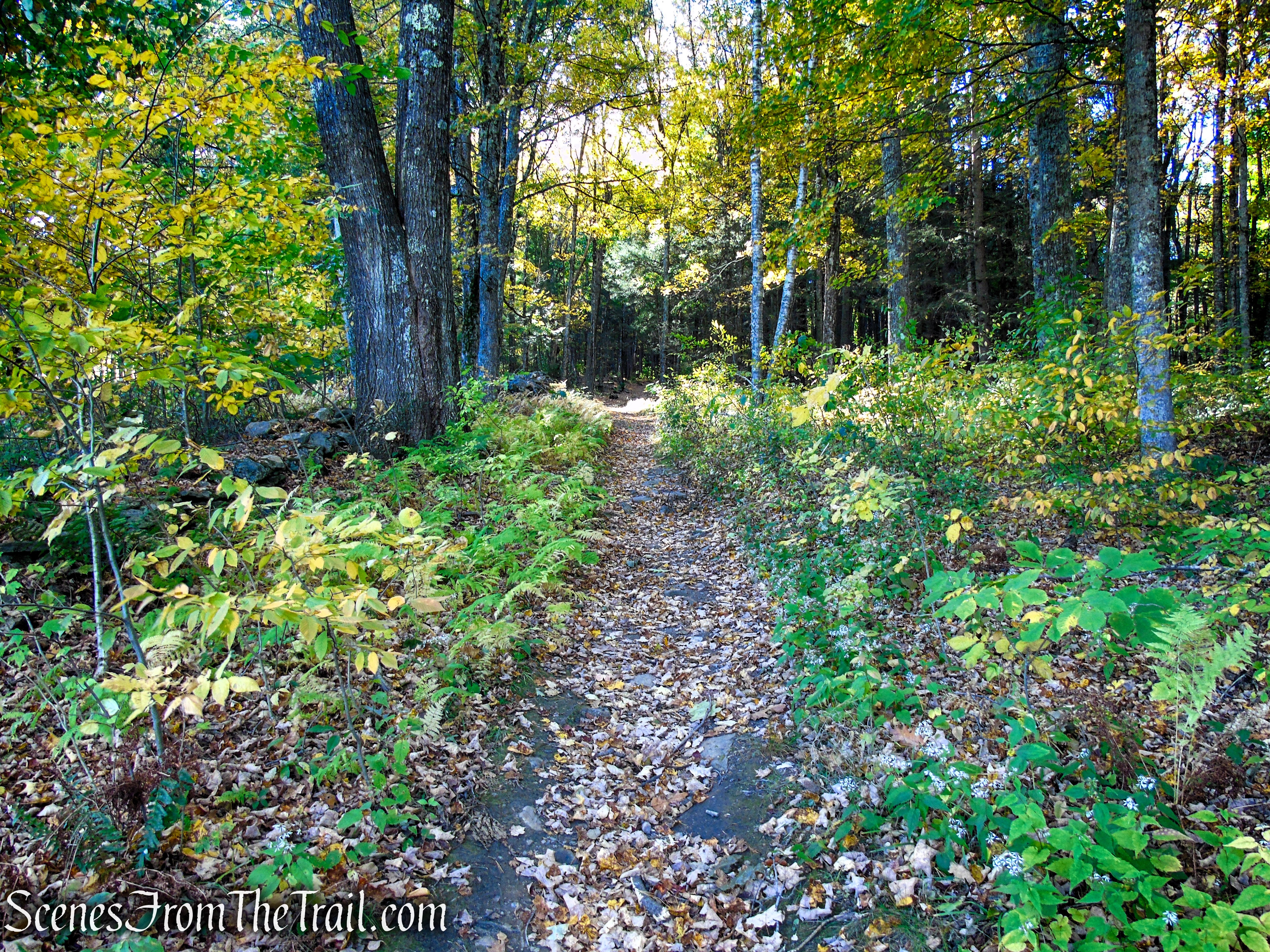 Ruins Trail - Ashintully Gardens