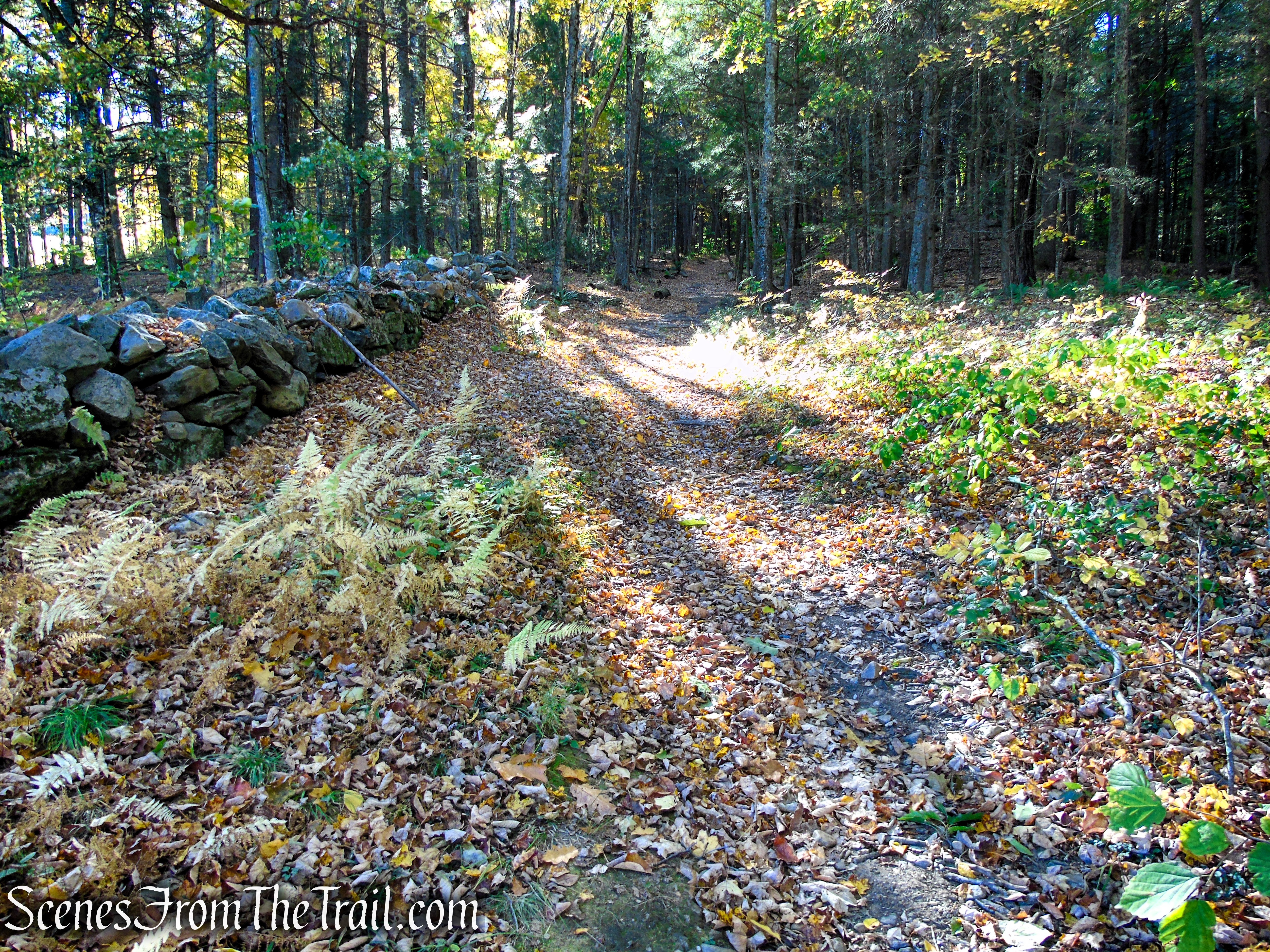 Ruins Trail - Ashintully Gardens
