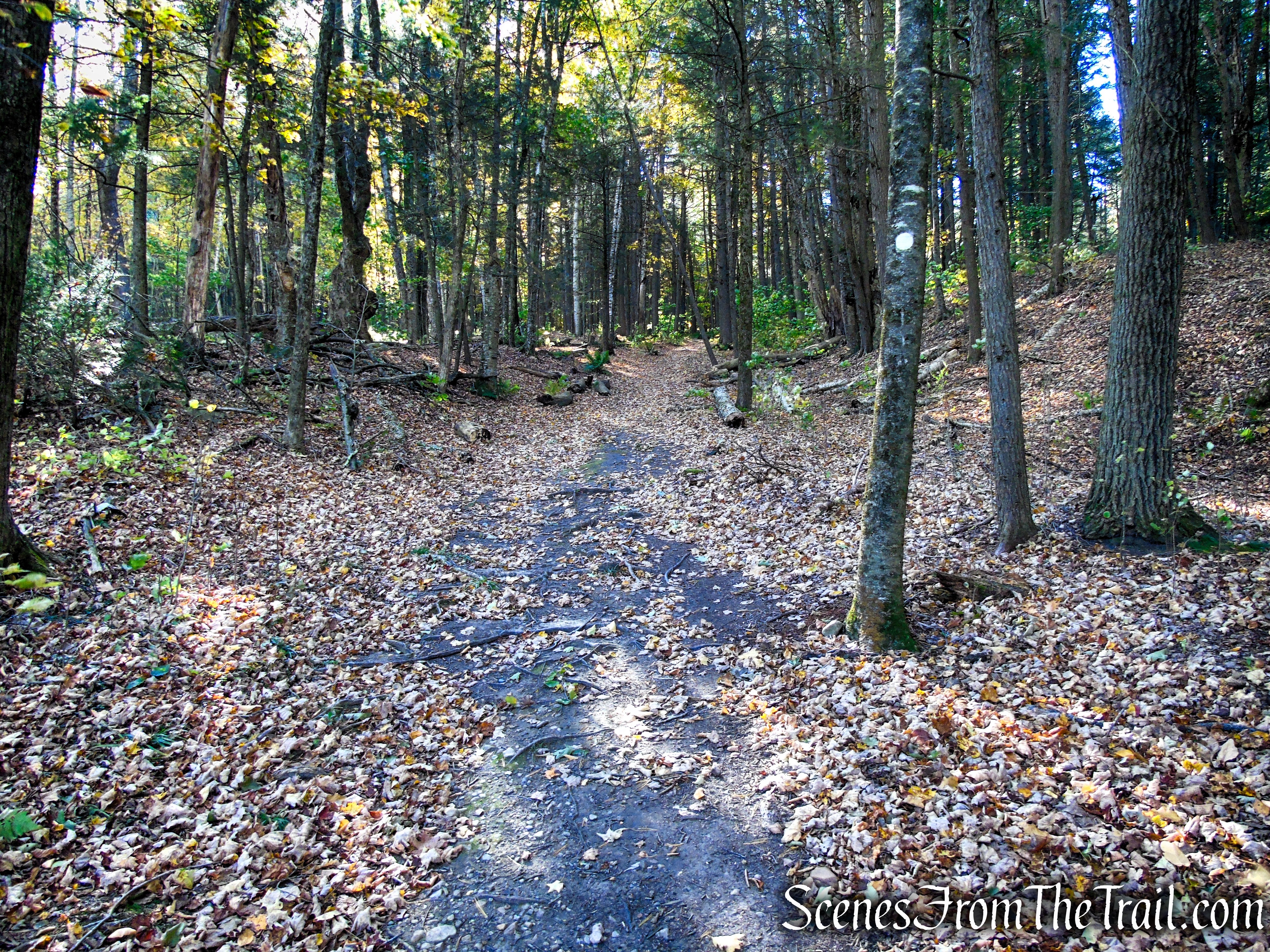 Ruins Trail - Ashintully Gardens