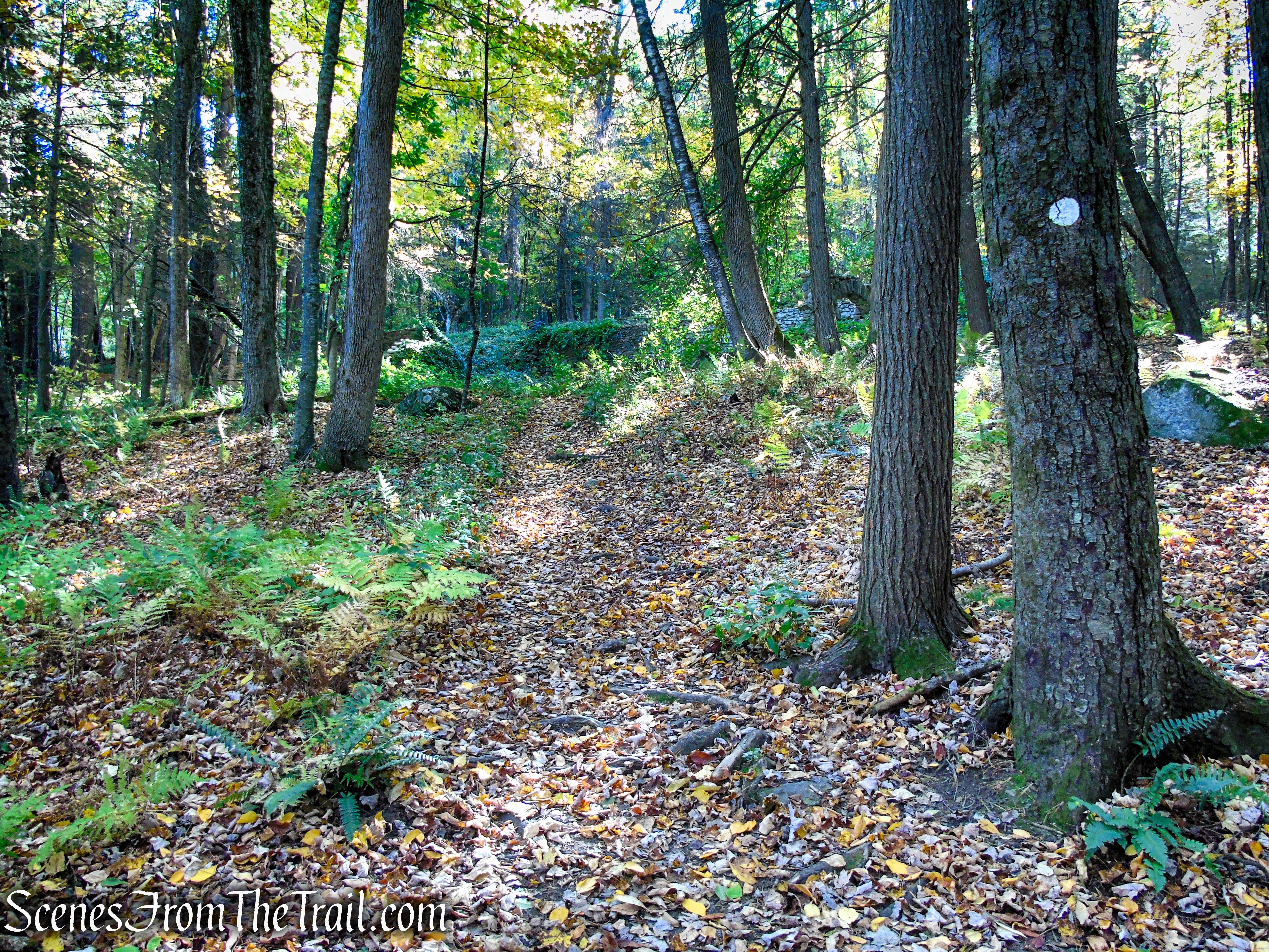 Ruins Trail - Ashintully Gardens