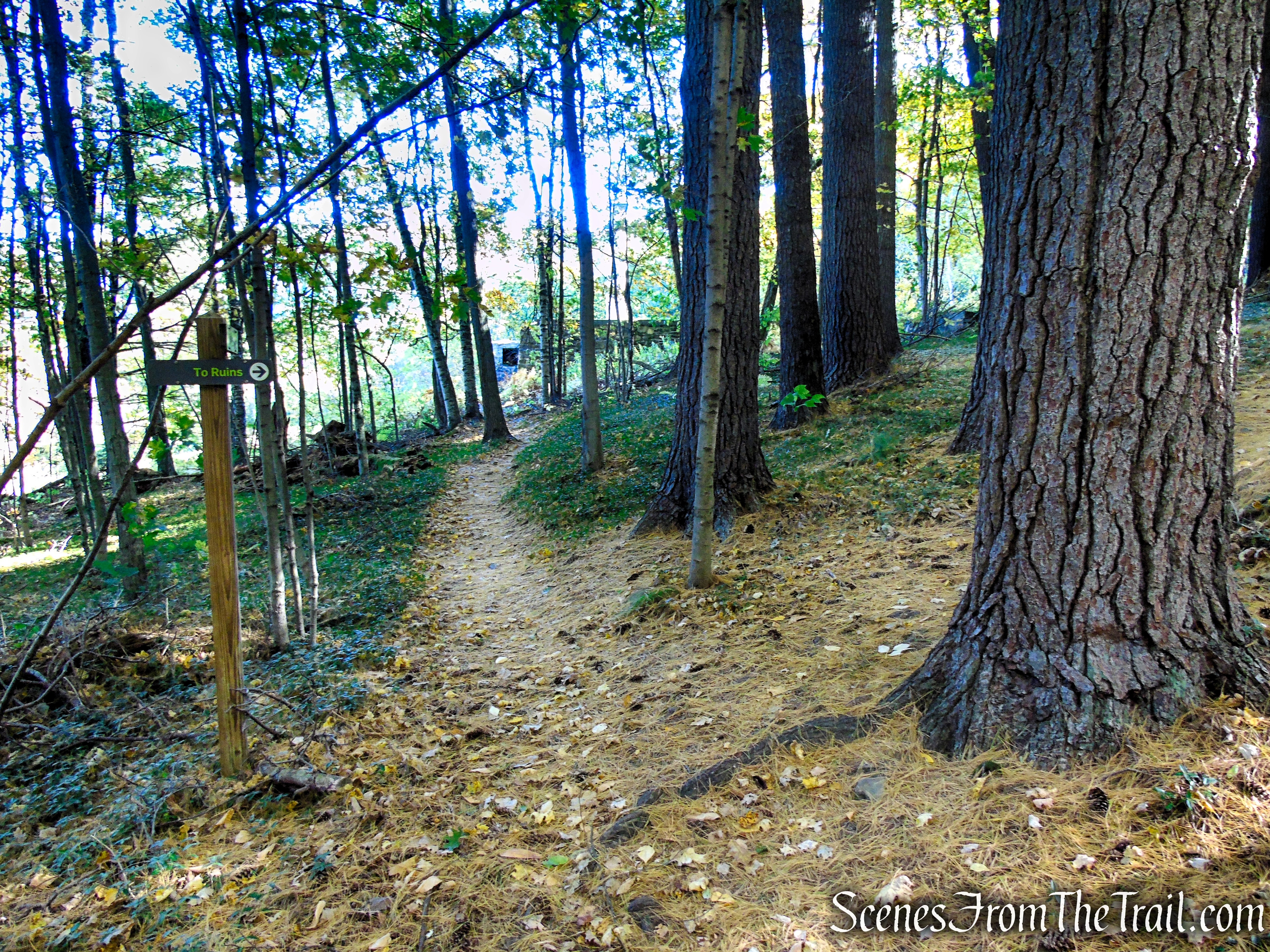 Ruins Trail - Ashintully Gardens