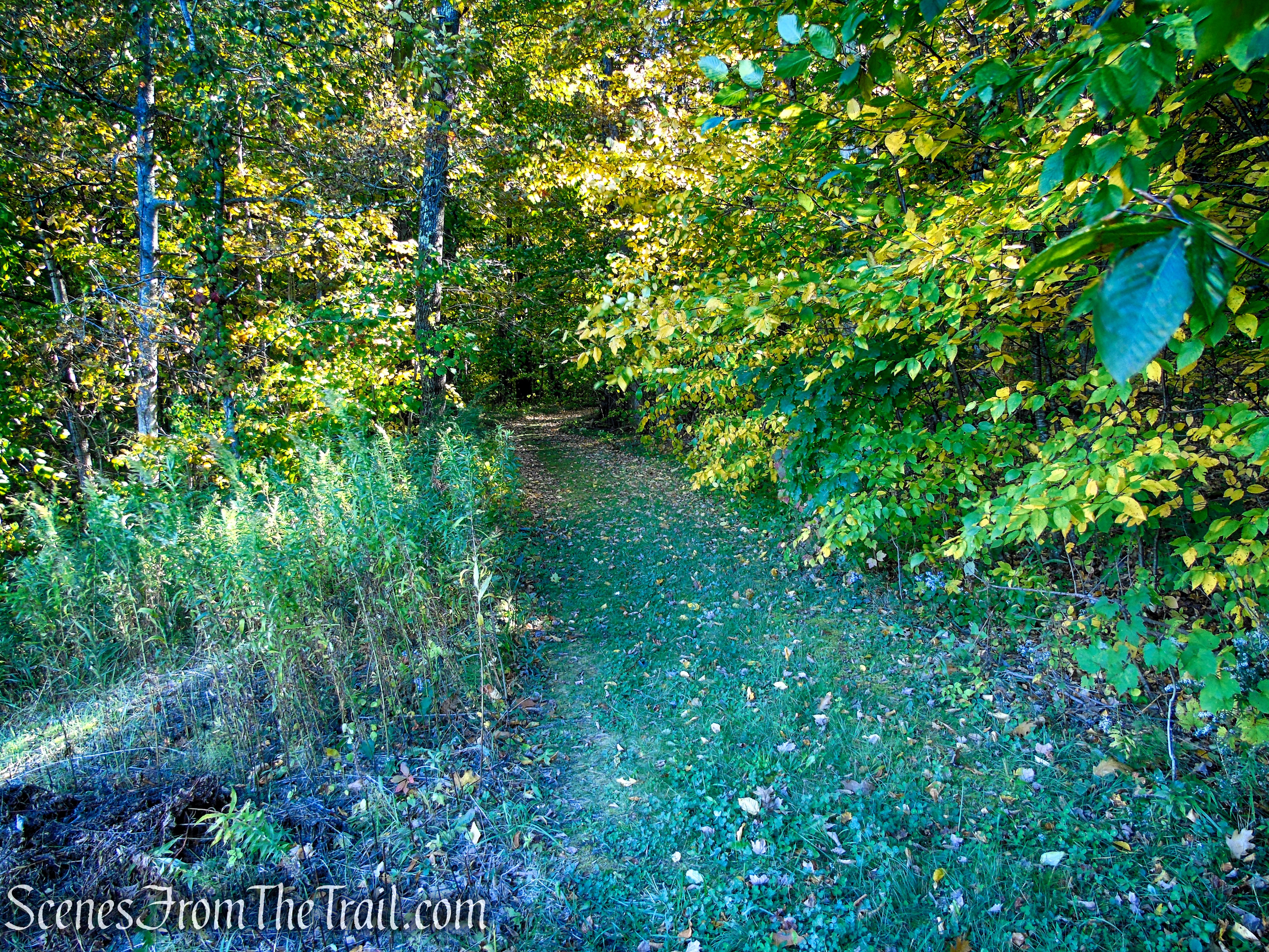 Spur Trail - Ashintully Gardens